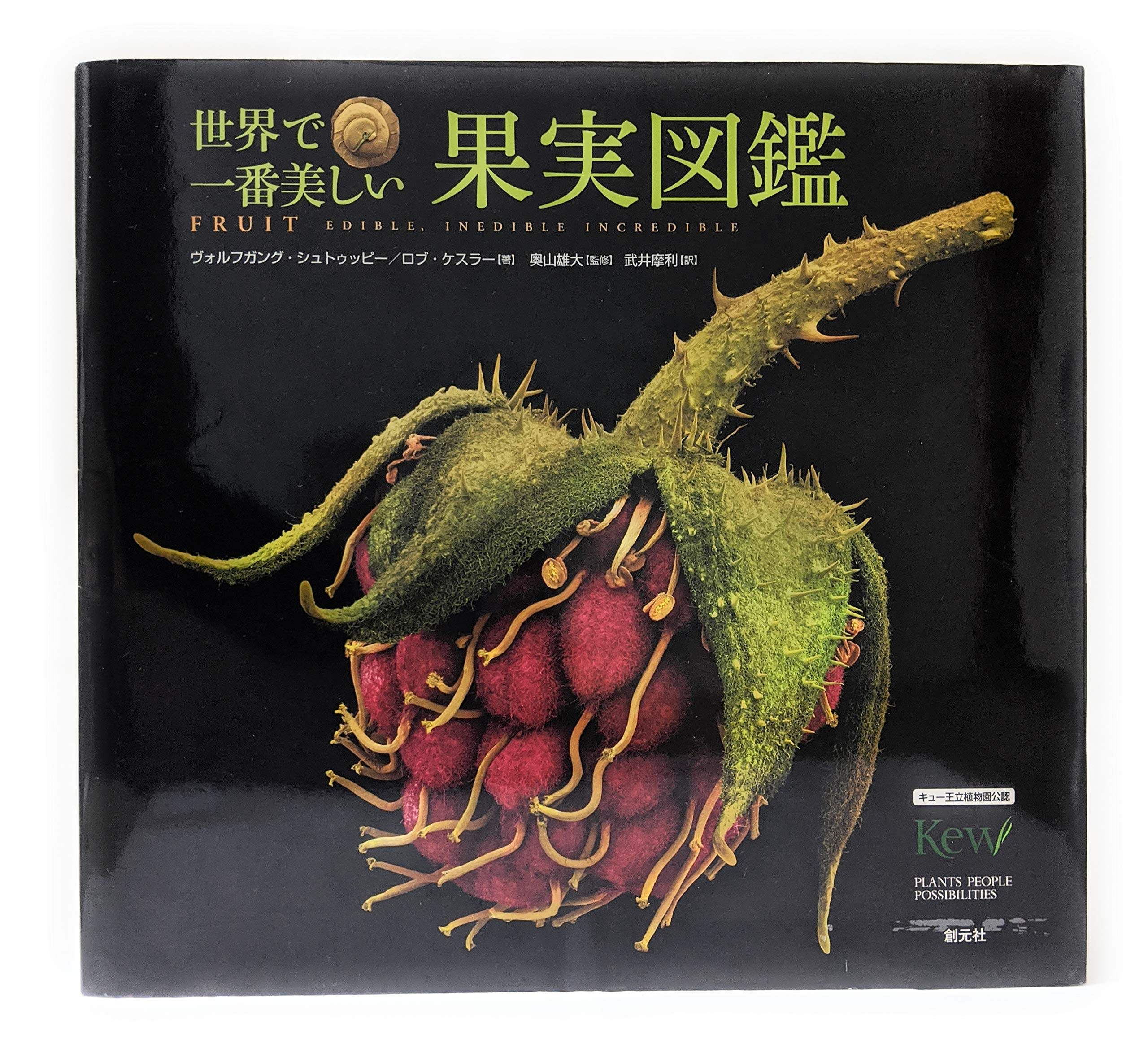 世界で一番美しい種子図鑑 : キュー王立植物園公認 Art 本・雑誌・漫画 世界で一番美しい種子図鑑 : キュー王立植物園公認