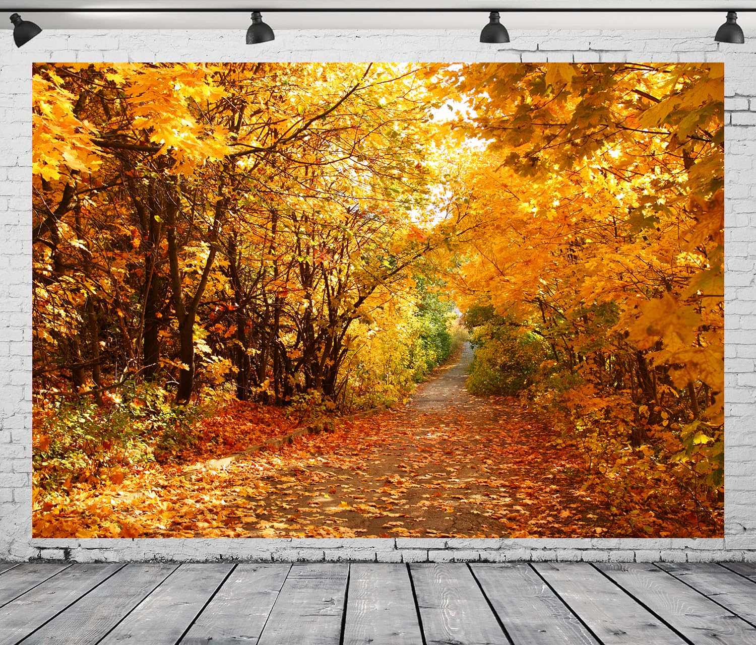 20 Fall Theme Background