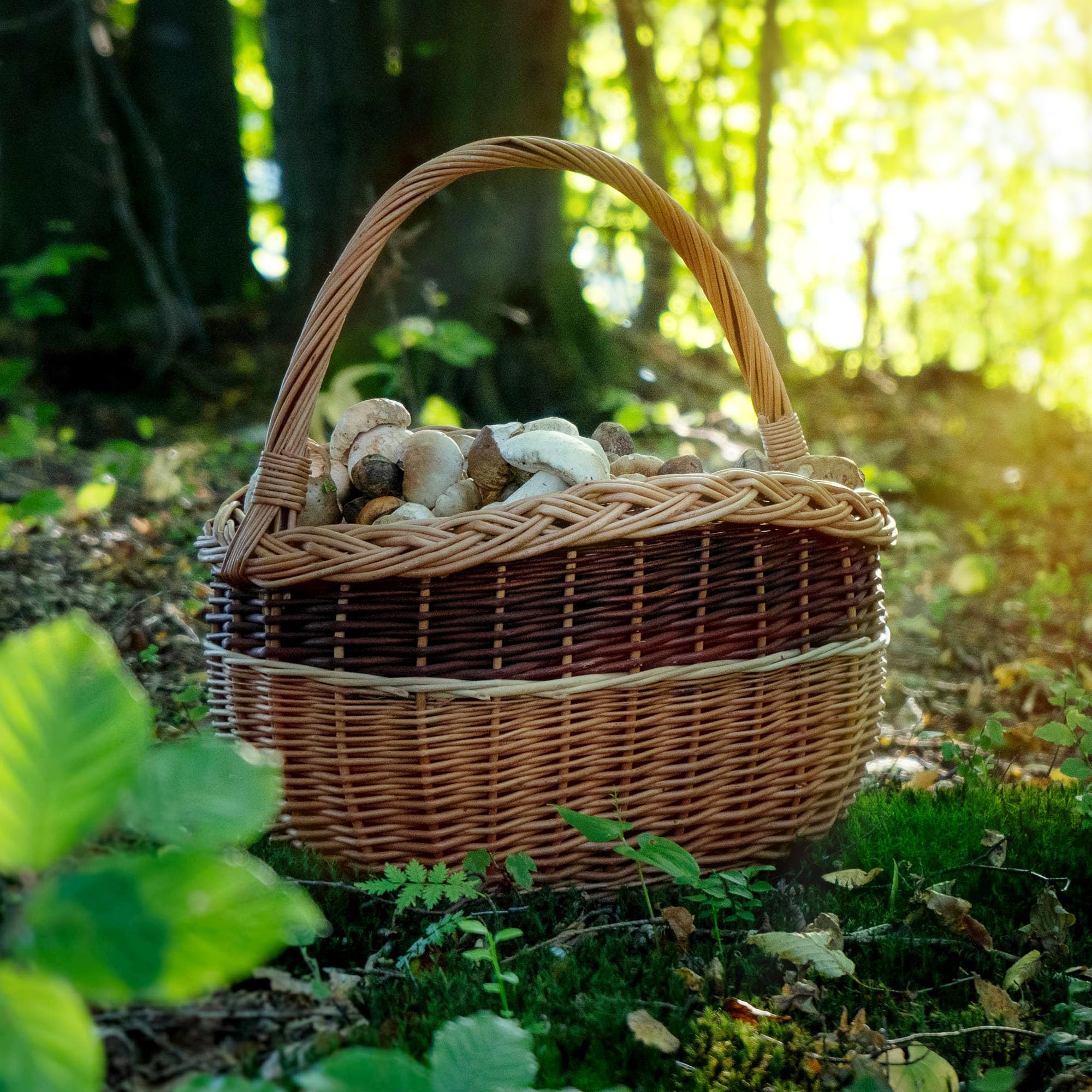 KADAX Panier en Osier Ovale pour Champignons, Shopping, Pique-Nique - Robuste avec Poignée - pour Bouteilles, Jardin et Transport (Mélange, 43 x 30 x)