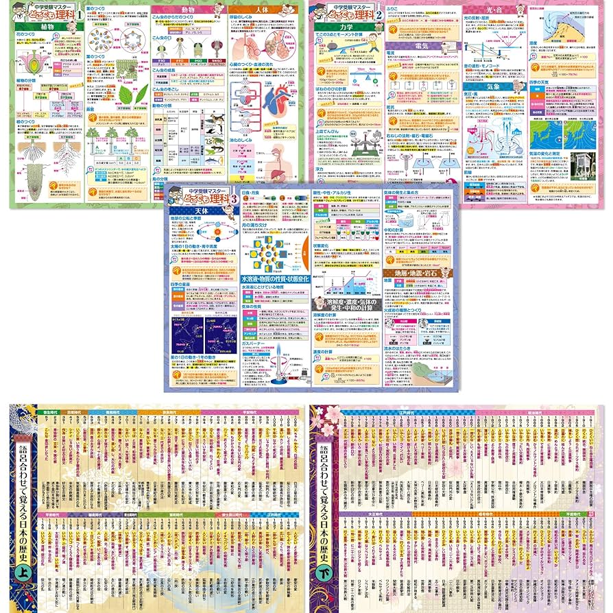 中学受験用等　社会、理科、国語、DVD 16枚セット Amazon | 中学受験国語読解DVD全10枚 | 小学校教育 | PCソフト