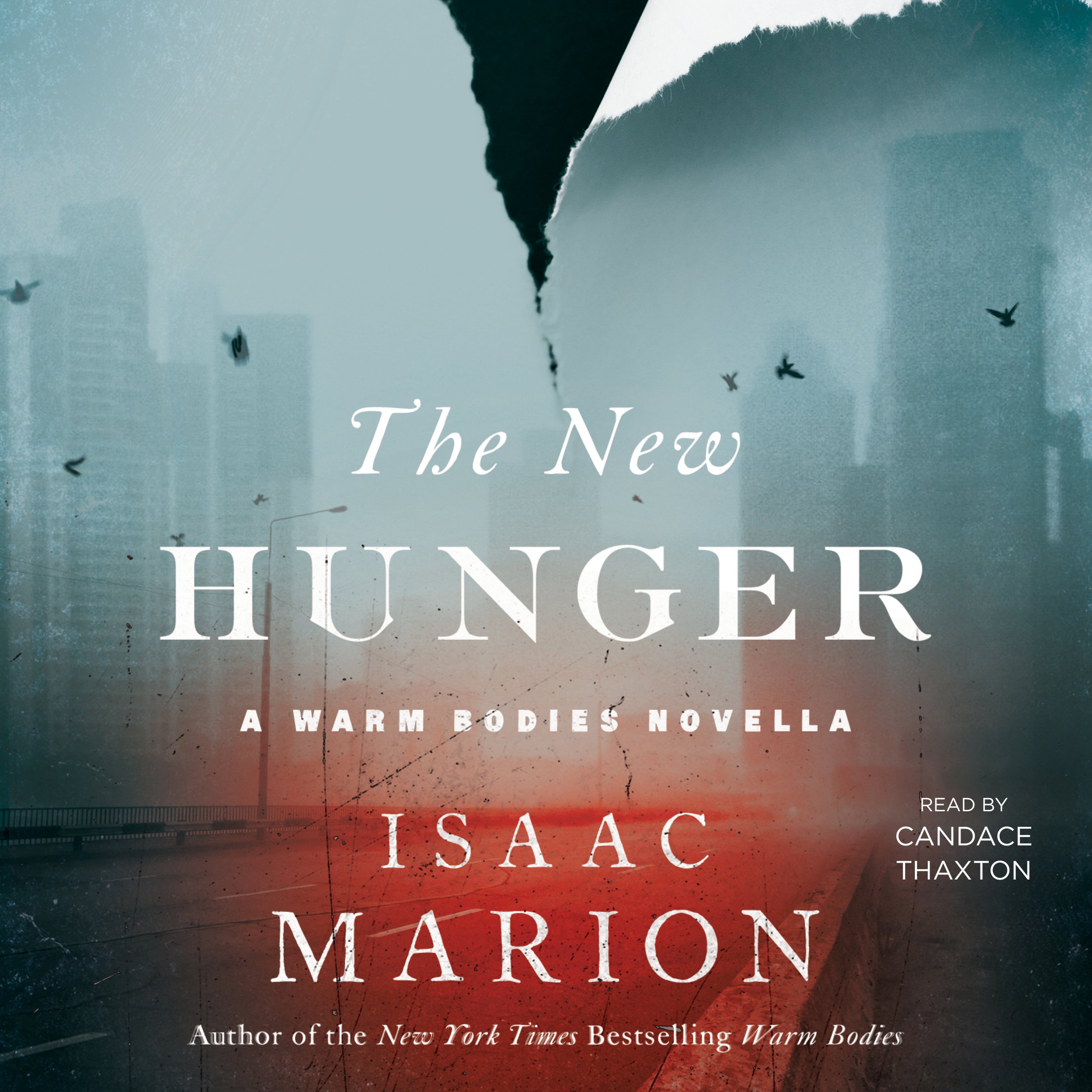 Cover art for The New Hunger