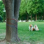 Amazon Basics Tie-Out Cable for Dogs up to 27.2kg, 762cm