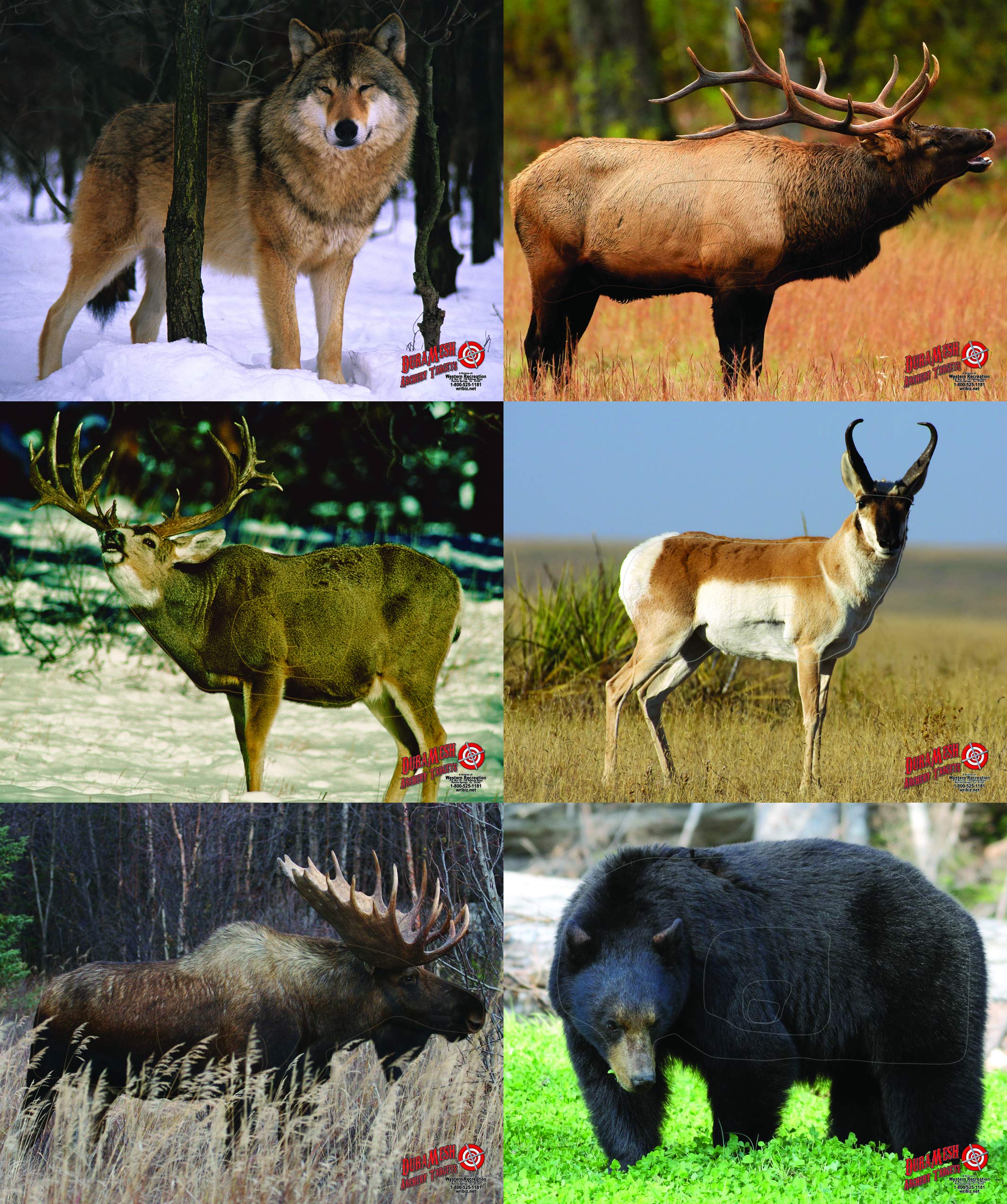 Duramesh Archery Targets Western Target Series (6 Pack), DM-West