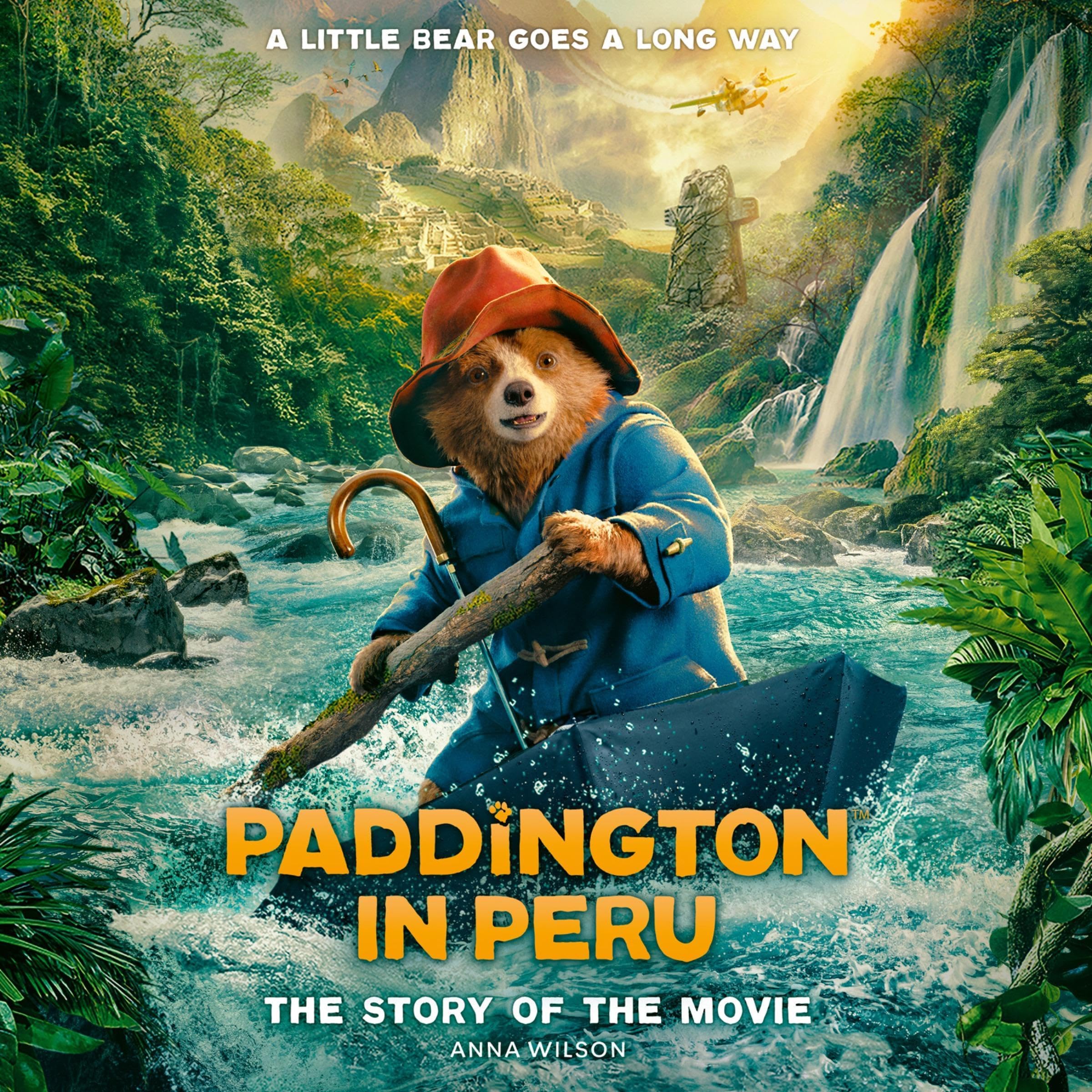 Paddington in Peru