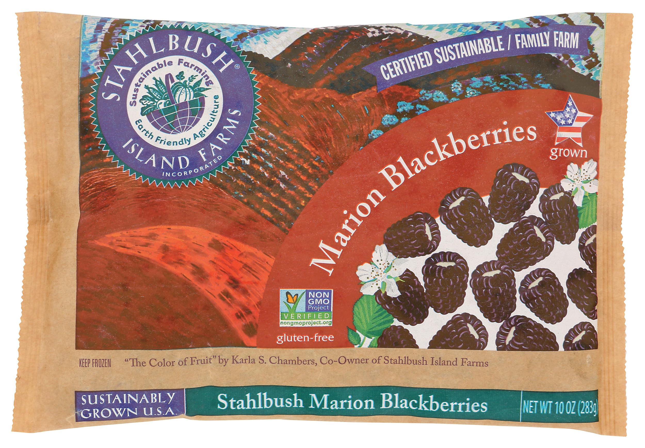 Stahlbush Marion Blackberries, 10 OZ | Grocery Pickup & Delivery