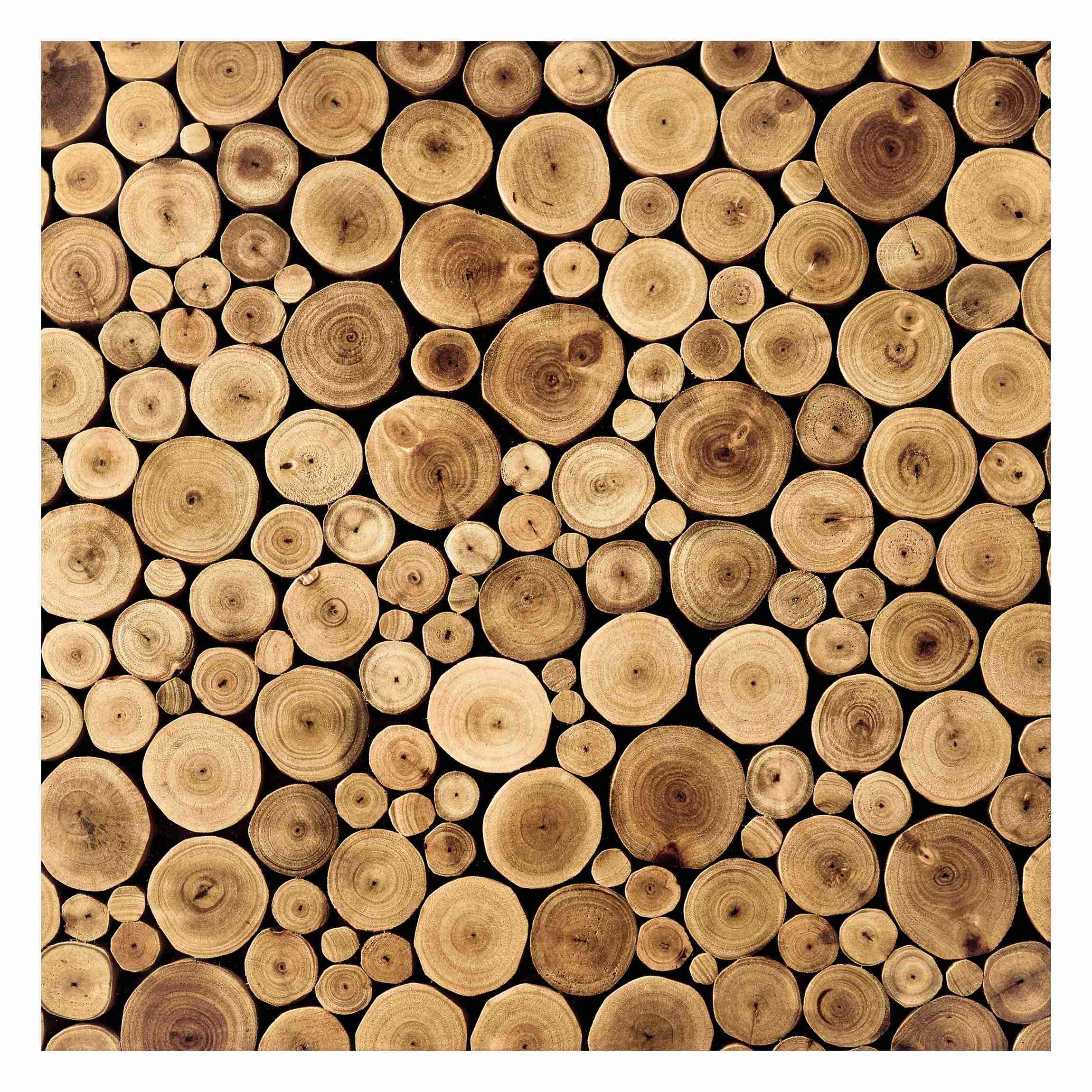 Papier peint panoramique pour cacher un grand mur abîmé motif bois