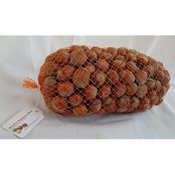 Hazelnuts Premium XL   From Germany   Nuts in a Shell   3 kg