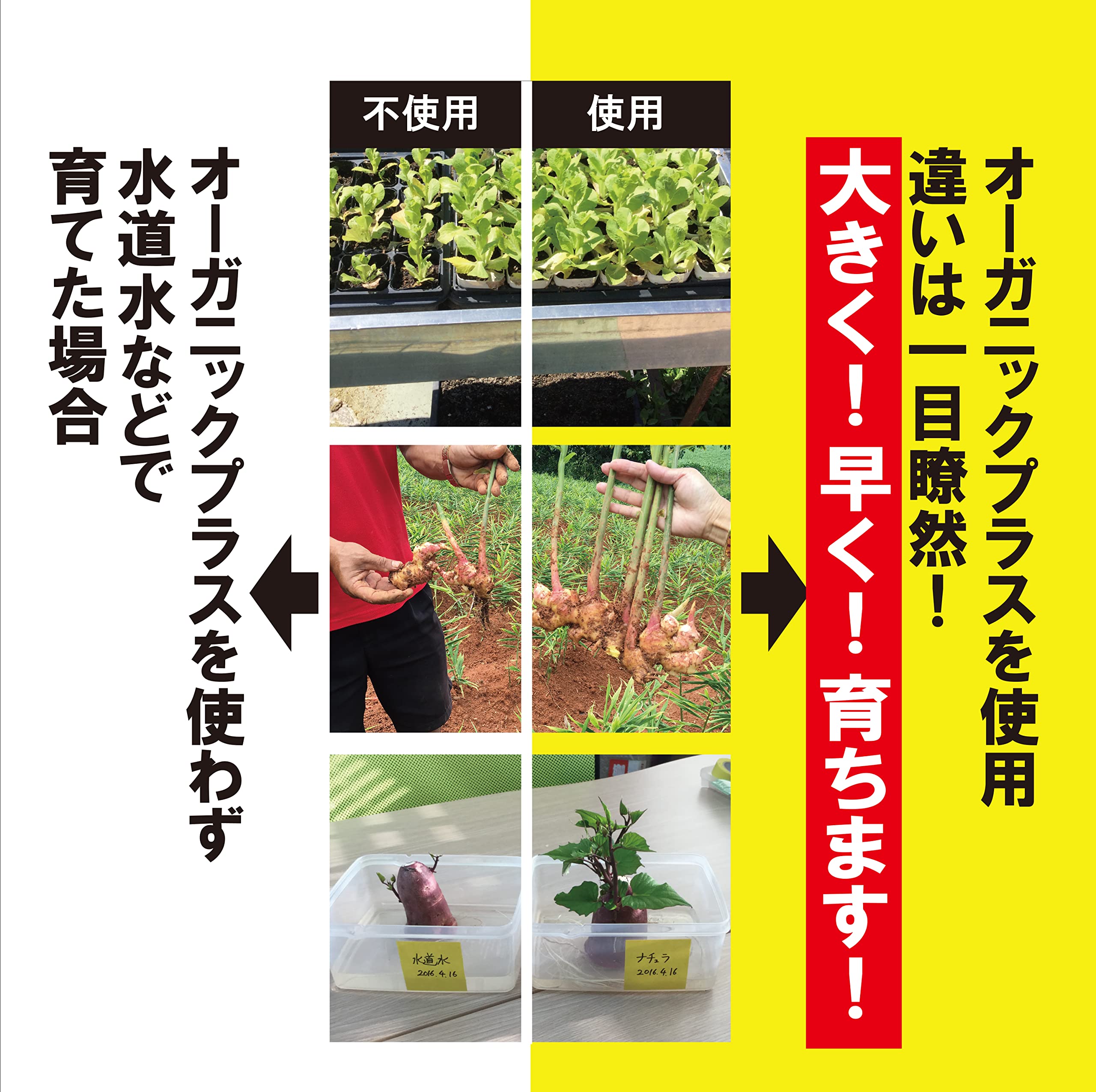 iBelieve オーガニックプラス オールインワン有機液体肥料 1リットル 原液タイプ Amazon.co.jp: iBelieve オーガニックプラス オールインワン有機液体