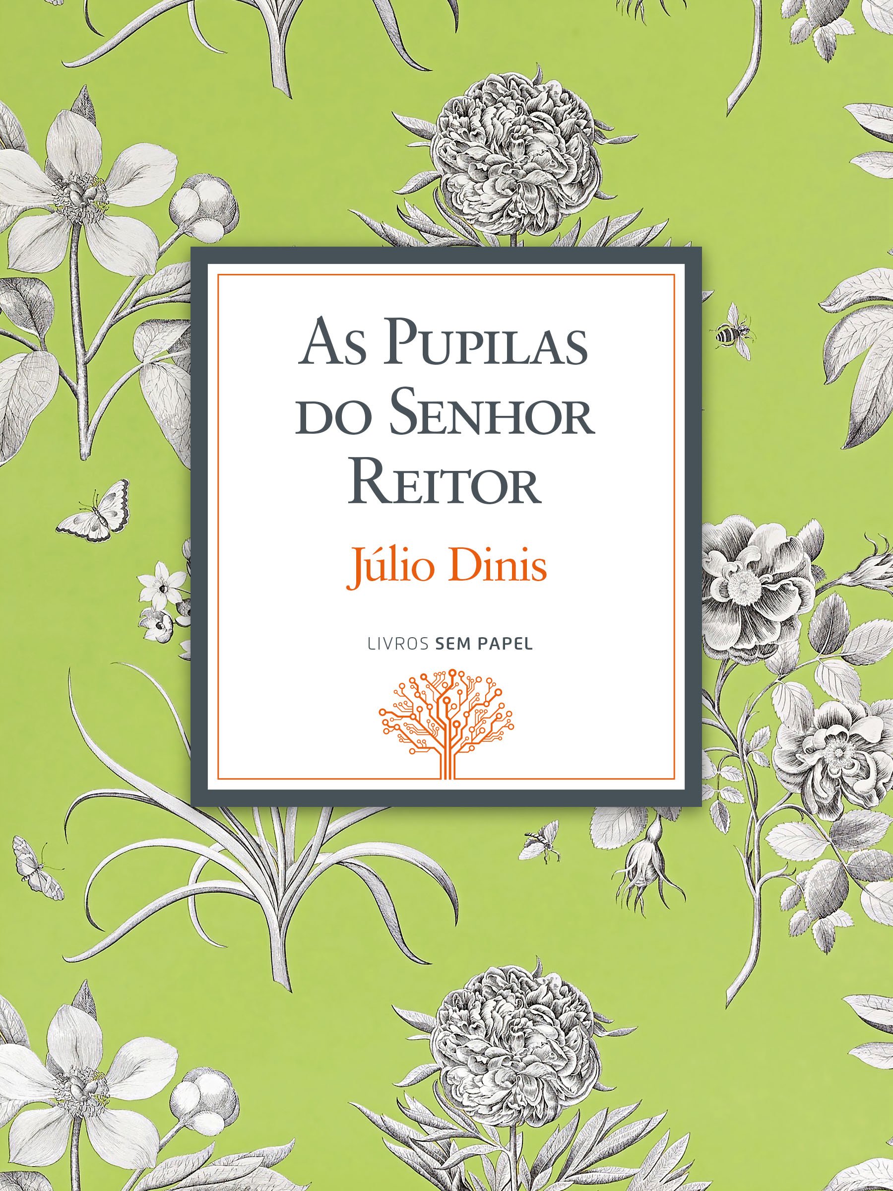 As Pupilas do Senhor Reitor: Crónicas da Aldeia (Obras de Júlio Dinis Livro 1) (Portuguese Edition)