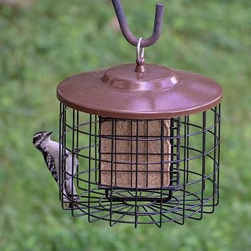 Squirrel Buster Plus Squirrel-Proof Bird Feeder - Green, More Birds, Double Suet, 2 Cake Capacity