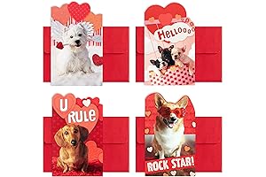 Hallmark Kids Mini Valentines Day Cards and Stickers - Dogs