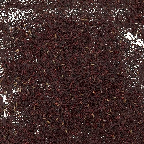 Miniatura 2 de Palm Beach Medicinal Herbs - Lavanda Mar (Limonium latifolium) - Paquete de 20 Semillas