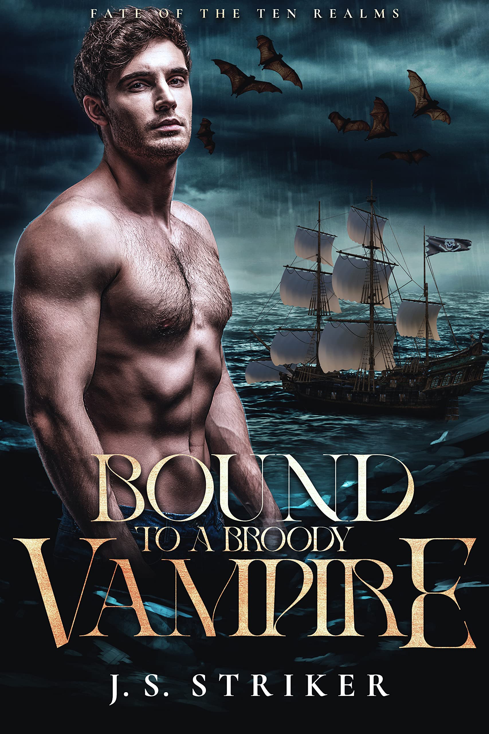 Cover of Bound to a Broody Vampire