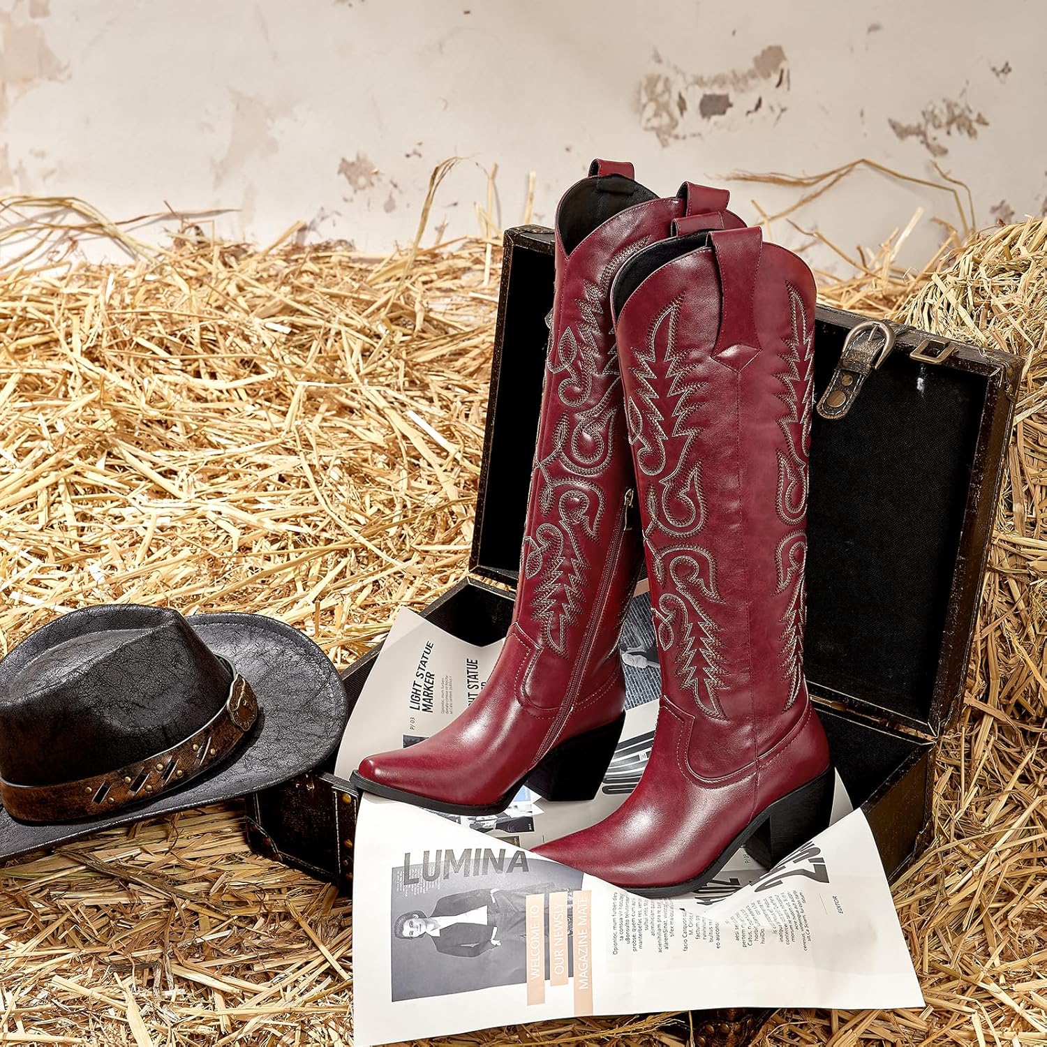 wetkiss Women's Pointed Toe Cowboy Boots - Image 5