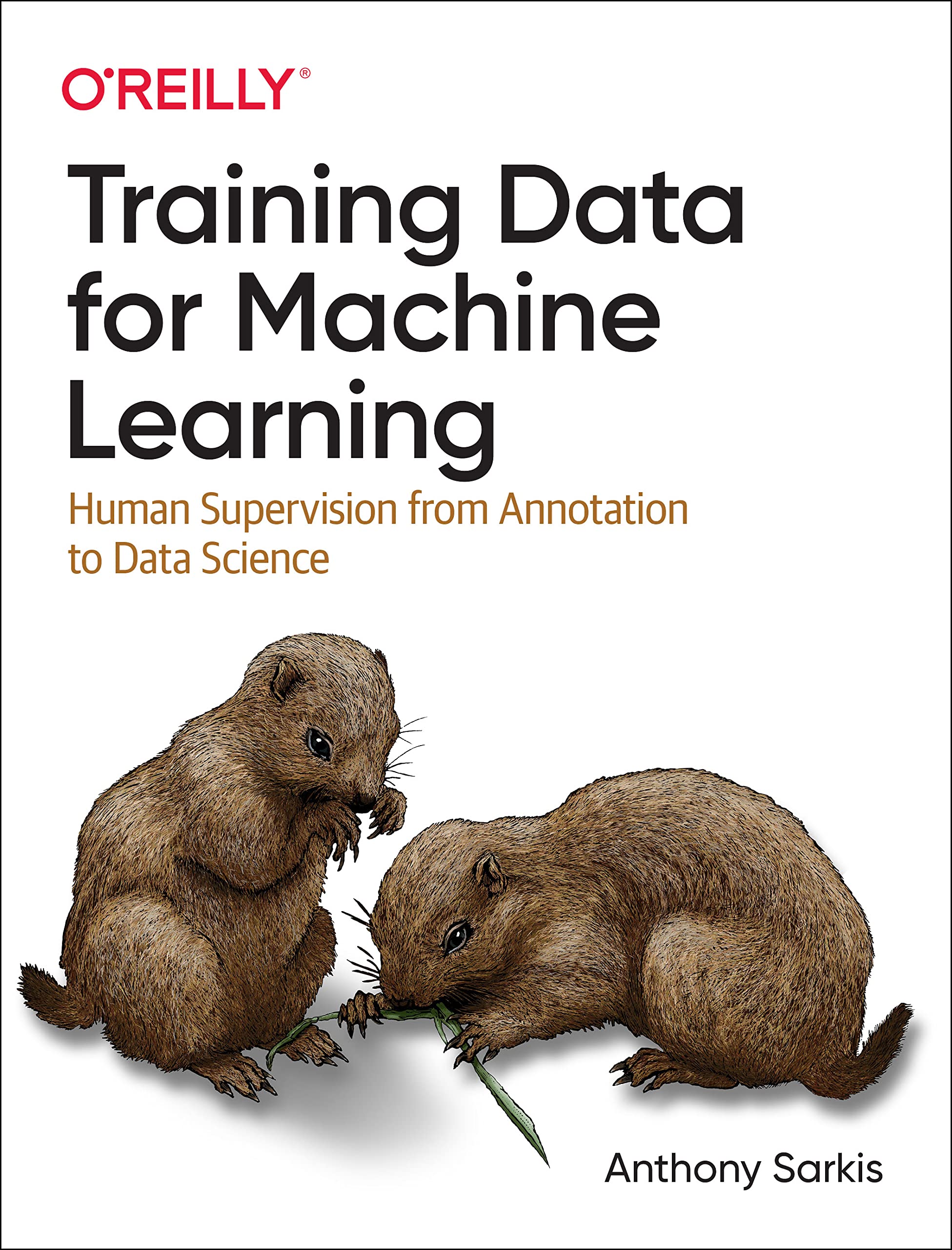 Training Data for Machine Learning by Anthony Sarkis (Paperback Book)