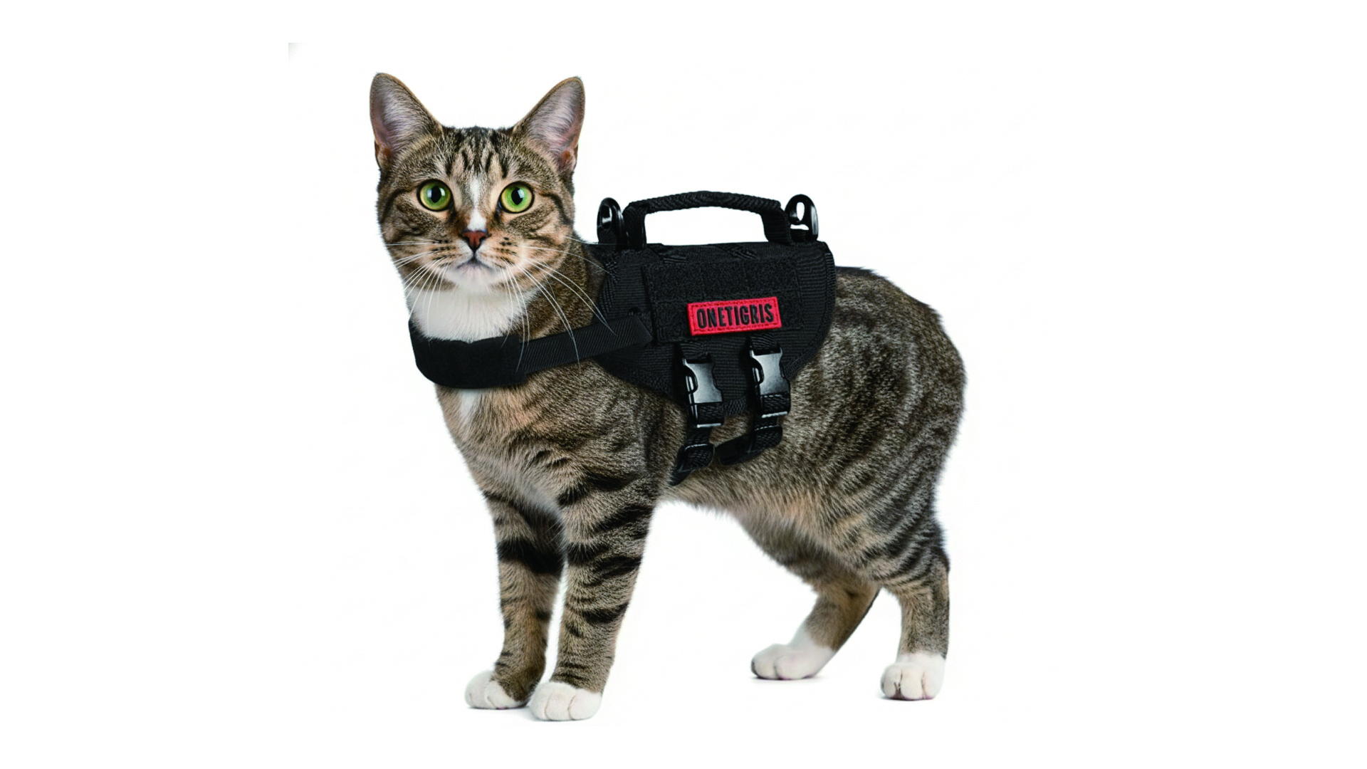 Amazon.com : OneTigris Tactical Dog Harness,Puppy Harness with
