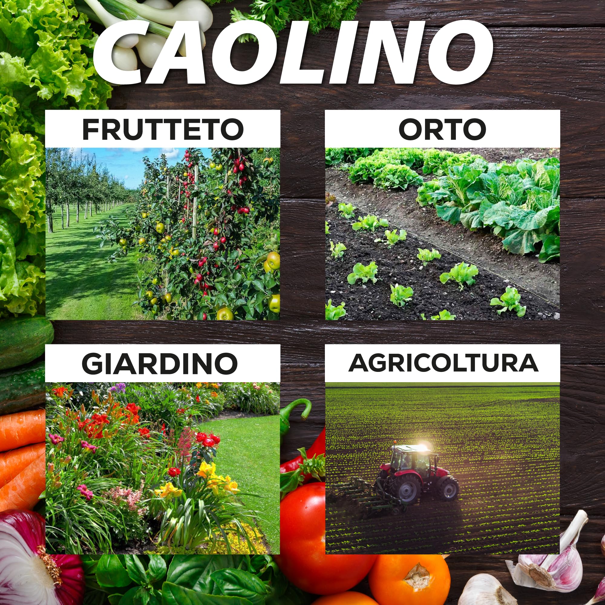 Caolino corroborante potenziatore difese naturali MOSCA DELL'OLIVO (25 kg)