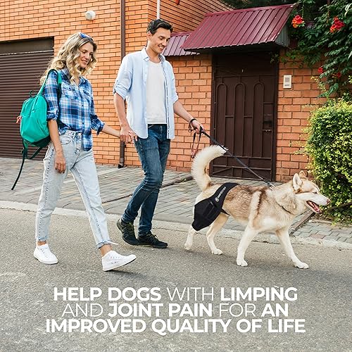 Miniatura 4 de Pawfection Rodillera para perro para ACL desgarrado rodillera ajustable de neopreno para perro para pierna trasera desgarrada del ACL, ofrece alivio