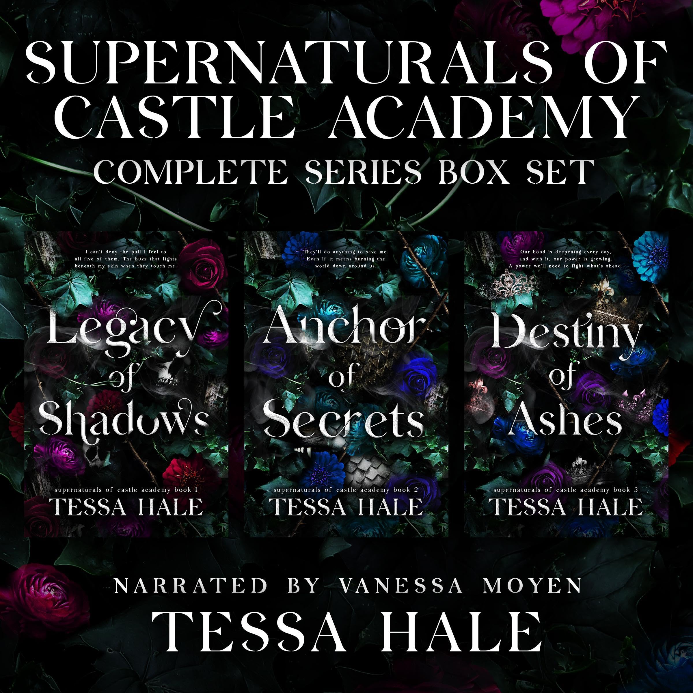 Cover art for Supernaturals of Castle Academy: The Complete Series Box Set