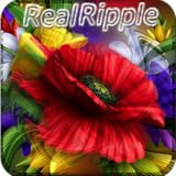 VS androApps