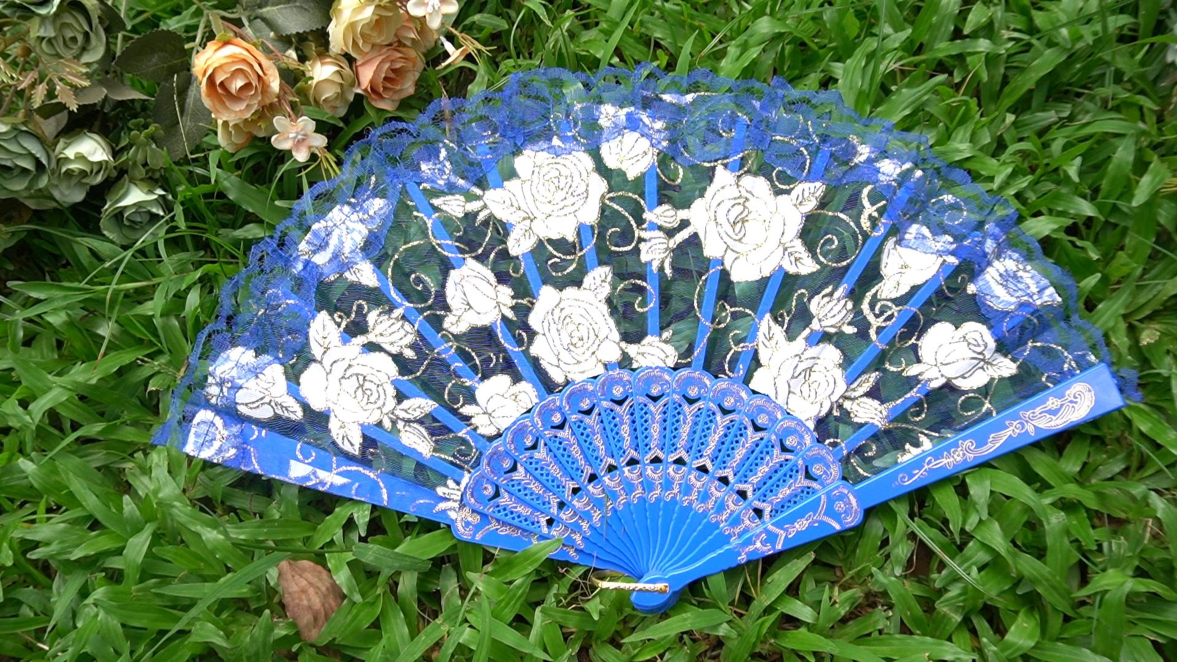Amazon.com: EOSAU Handheld Chinese Folding Fan Lace Hand Fans for
