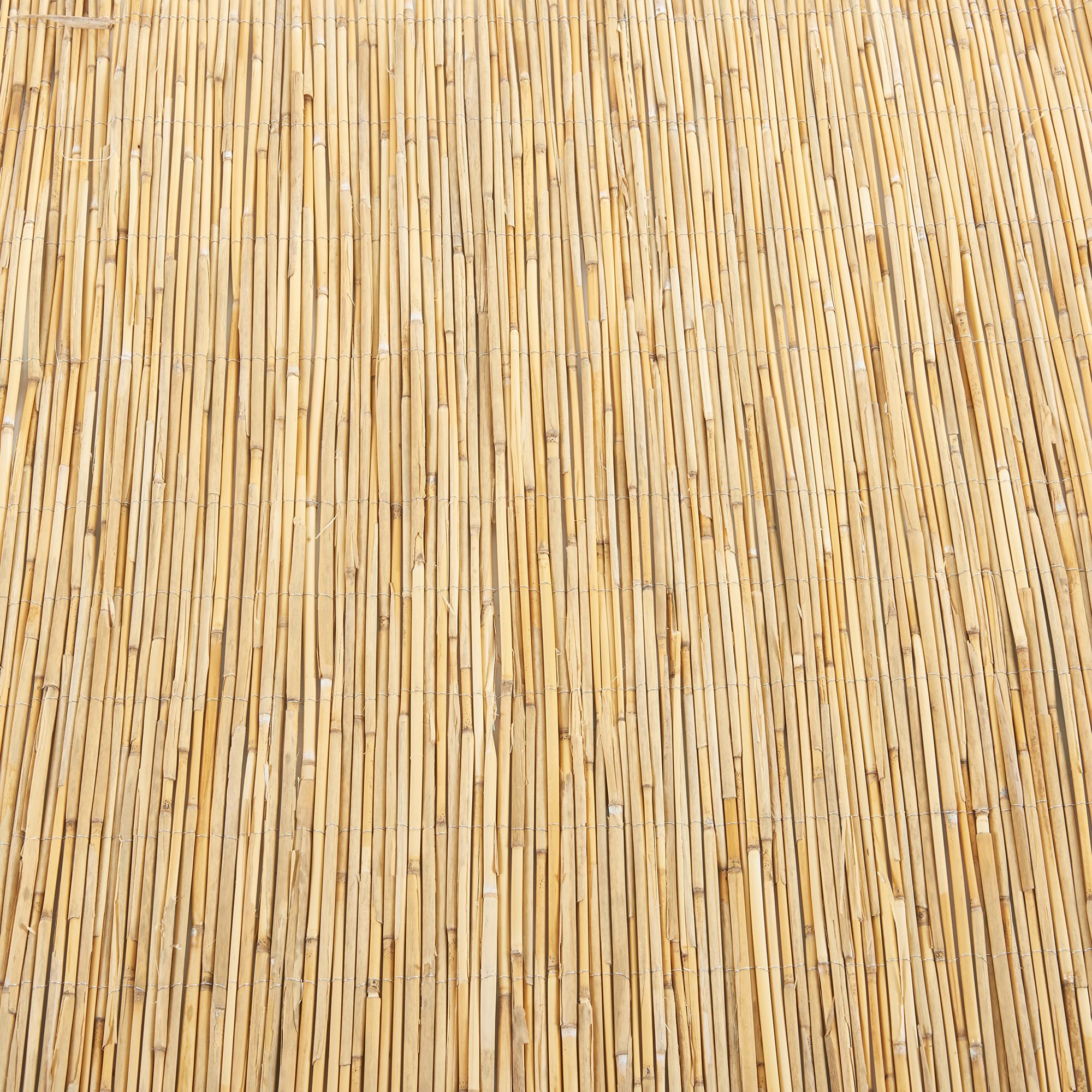casa.pro Recinzione Frangivista in Canna Naturale Schermatura a Tappetino Divisorio per Giardino Terrazza Balcone Protezione Privacy Frangivento a Rotolo 120 x 600 cm