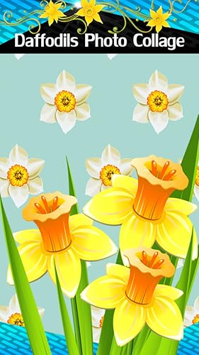 Colagem de Foto de Daffodils