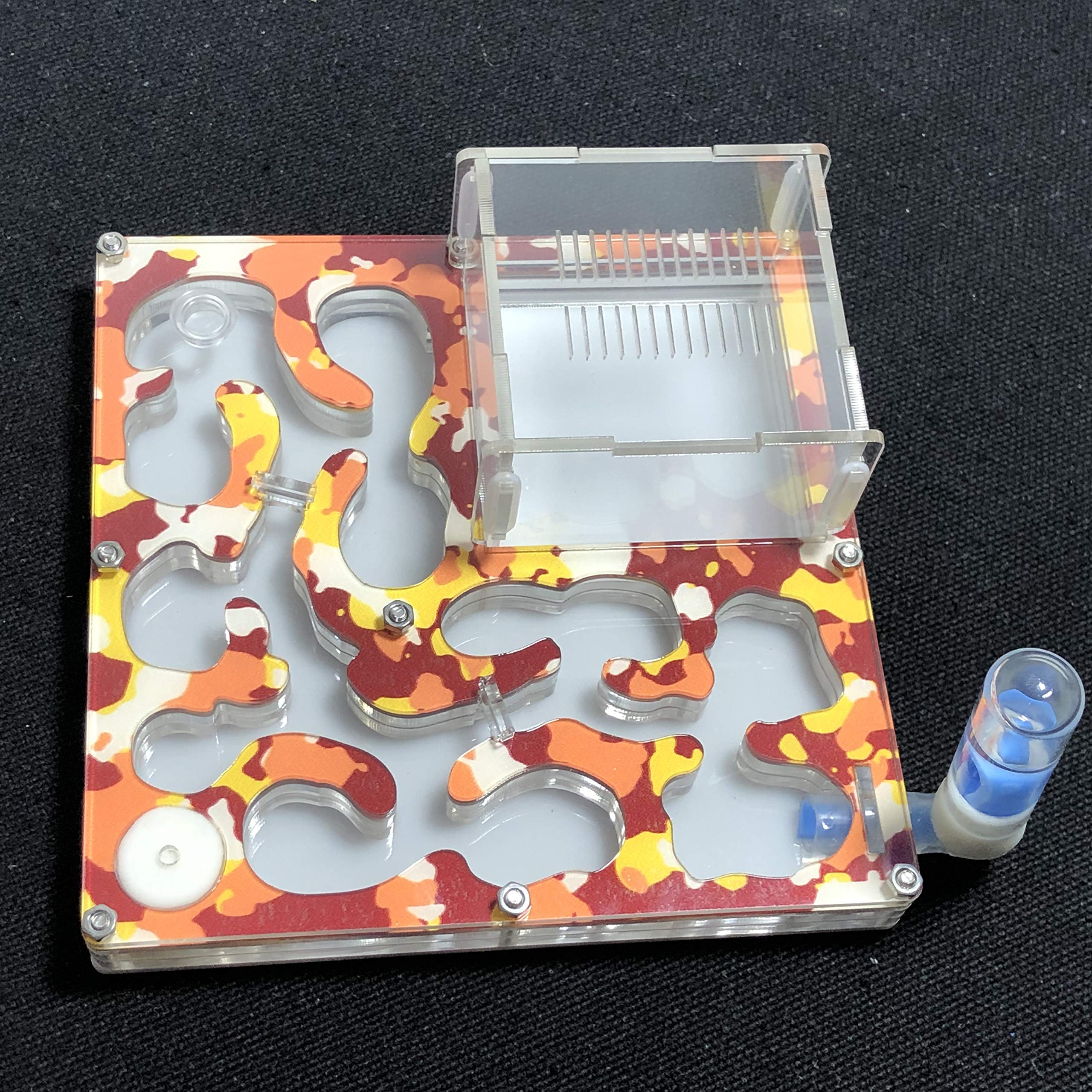 140 x 140 mm Gran Espacio Camuflaje Hormiguero Hormiguero formicarium Educativo con hidratación y Suministro de Agua para Hormigas Live (Camuflaje Invierno) - 4