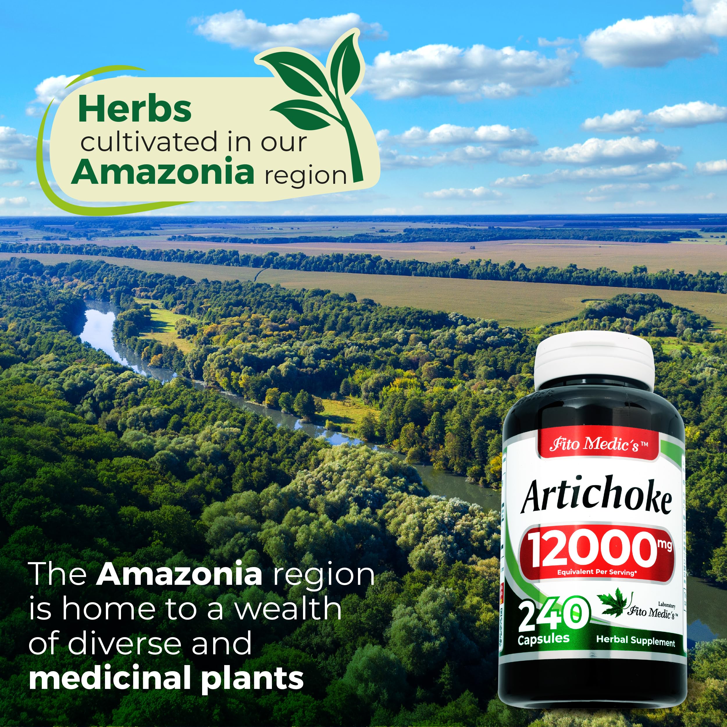FITO MEDIC'S Artichoke Capsules 240 Count | Alcachofa Supplement — Amazon image 7
