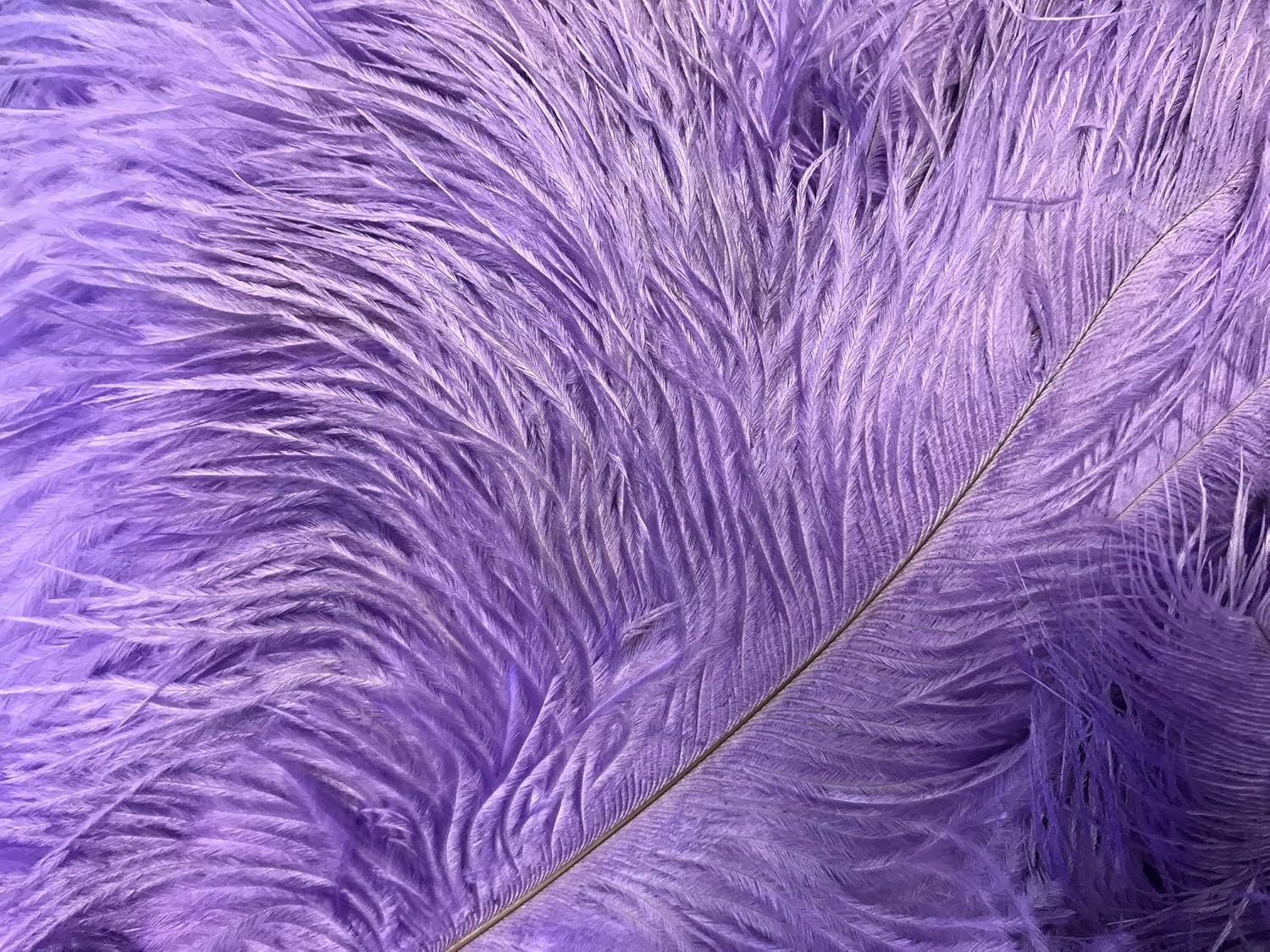 Moonlight Feather | 10 Pieces - 14-17" Lavender Ostrich Dyed Drab Body Feathers, Mardi Gras, Party Centerpiece and Costume