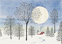 Peter Pauper Press Moonlit Cottage Deluxe Boxed Holiday Cards - 20 Silver Foil Cards, 21 Self-Sealing Envelopes & Keepsake Box