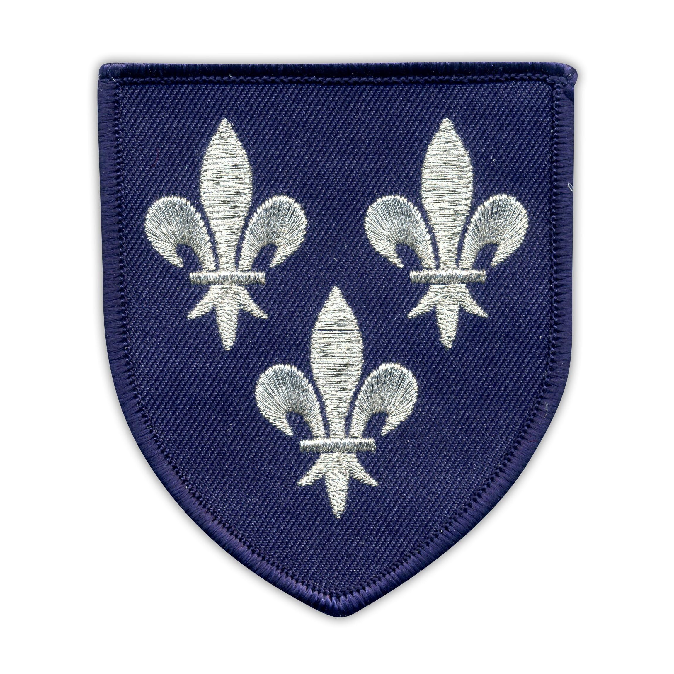 WARWICK CASTL ECUSSON BRODE EMBROIDERED PATCH WAPPEN KAMM CRESTA STEMMA INSIGNIA