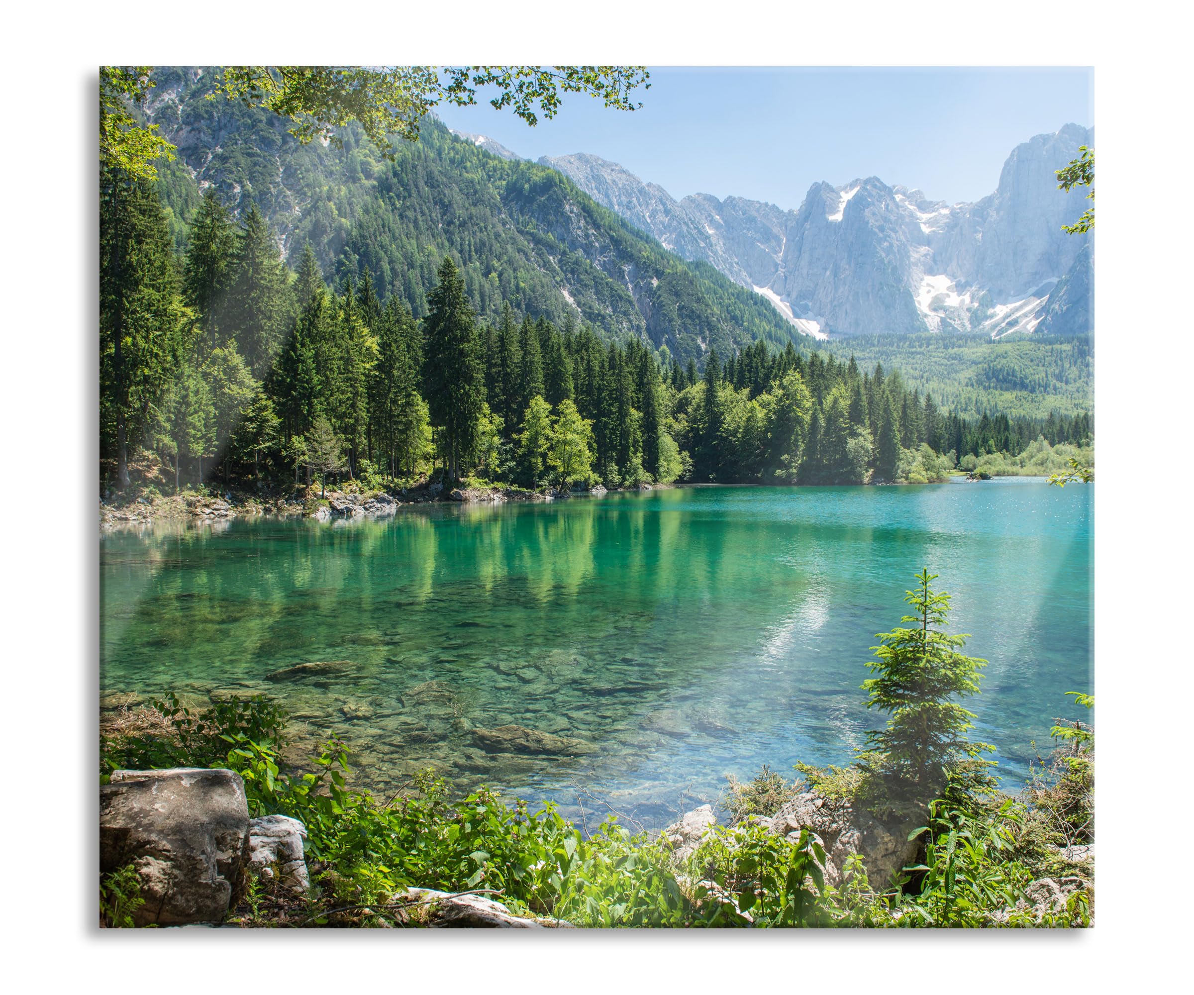 Wunderschöner See im Wald Herdabdeckplatte & Spritzschutz aus Echtglas | Für Herd-Kochfelder | 60x52 cm