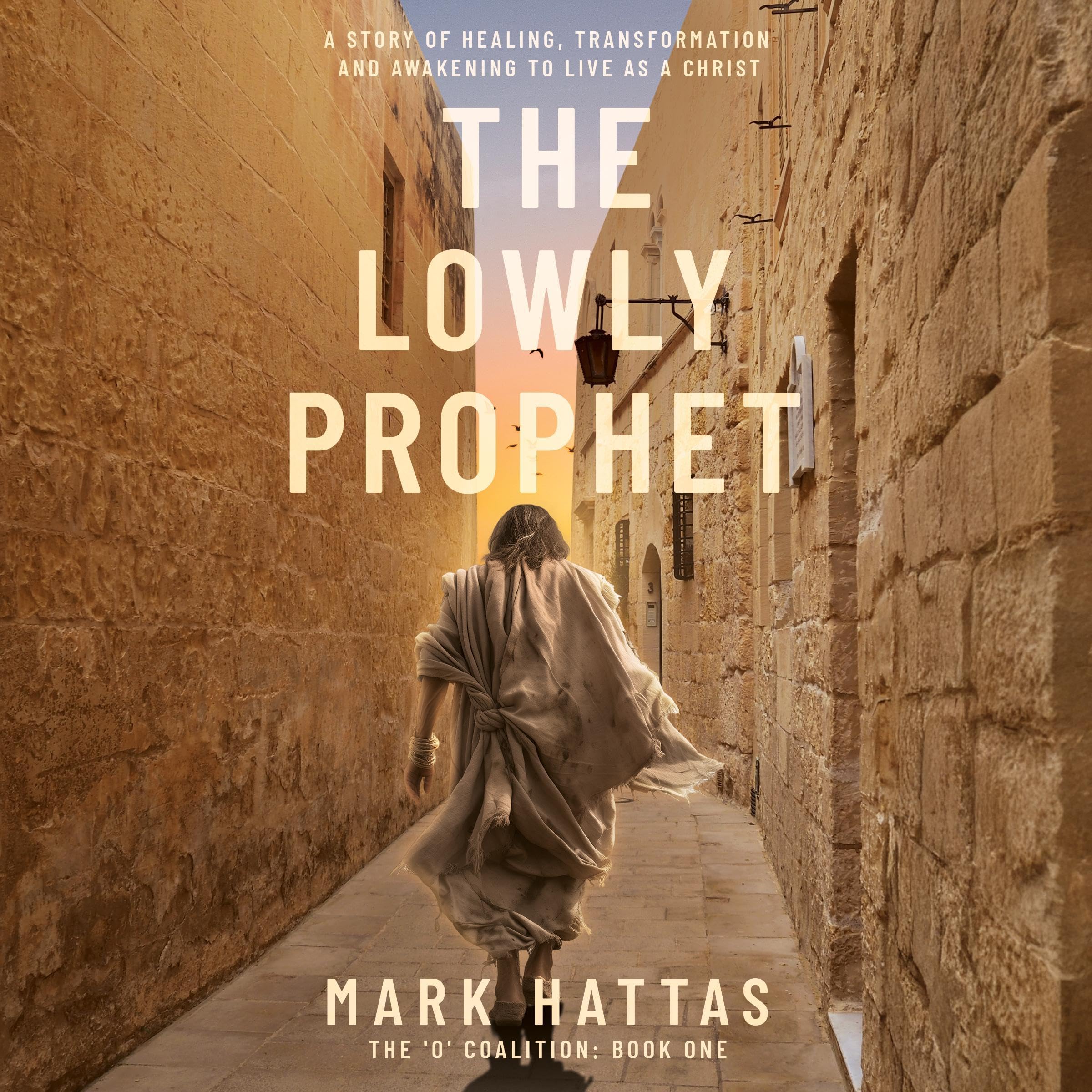 Cover art for The Lowly Prophet