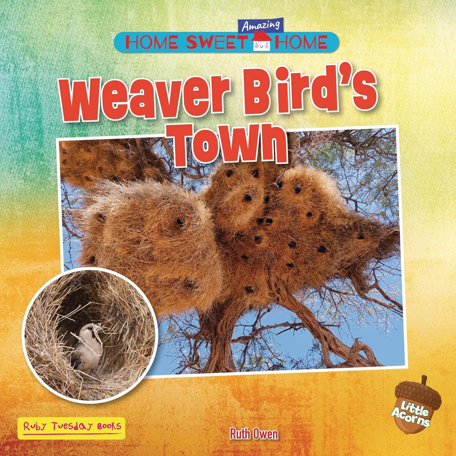 Weaver Bird's Town (Home Sweet Amazing Home (Little Acorns))