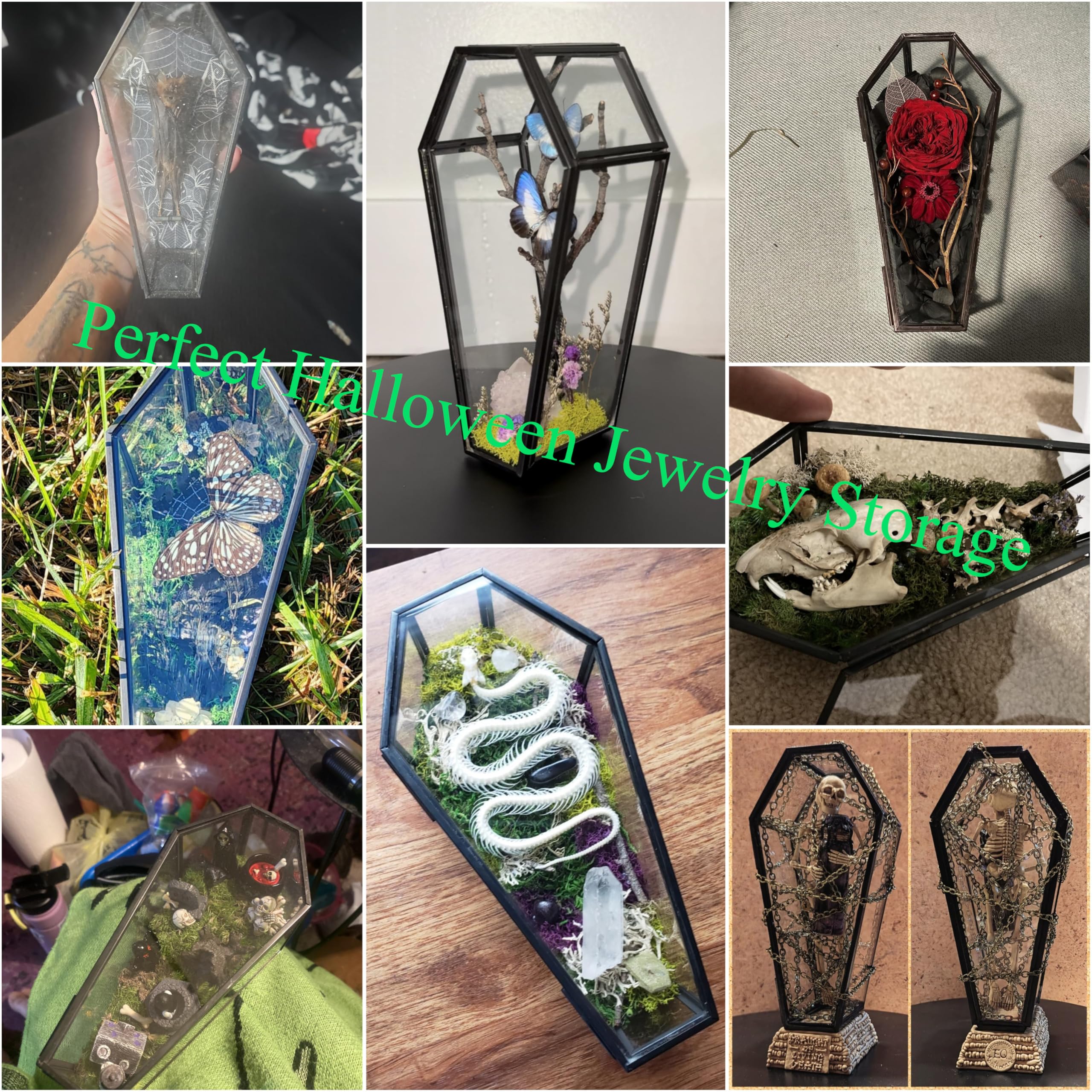 Amazon.com: libproqia Tiny Glass Coffin Terrarium Box,Gothic Black