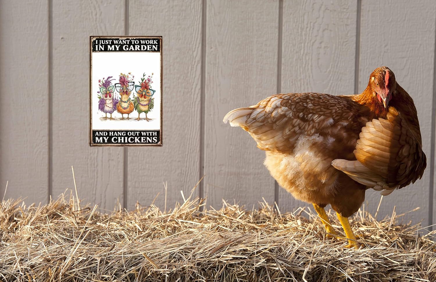 Funny Chicken Coop Signs I Just Want To Work In My Garden And Hang Out With My Chickens Tin Signs for Home Farmhouse Garden Decor 8x12 in - Image 5