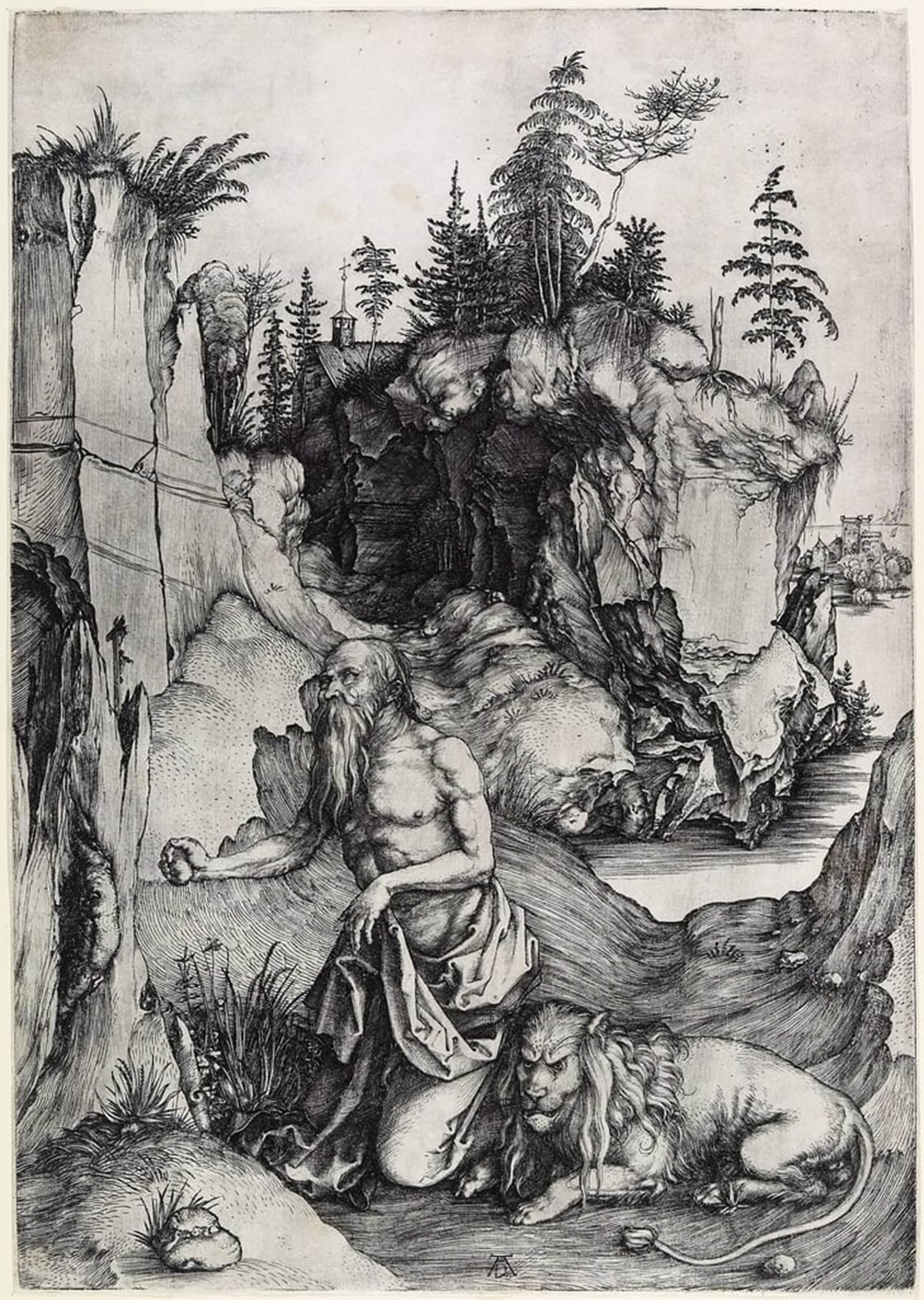 Tableaux Murale Art Albrecht Dürer affiche animaux impression grand format 60x90