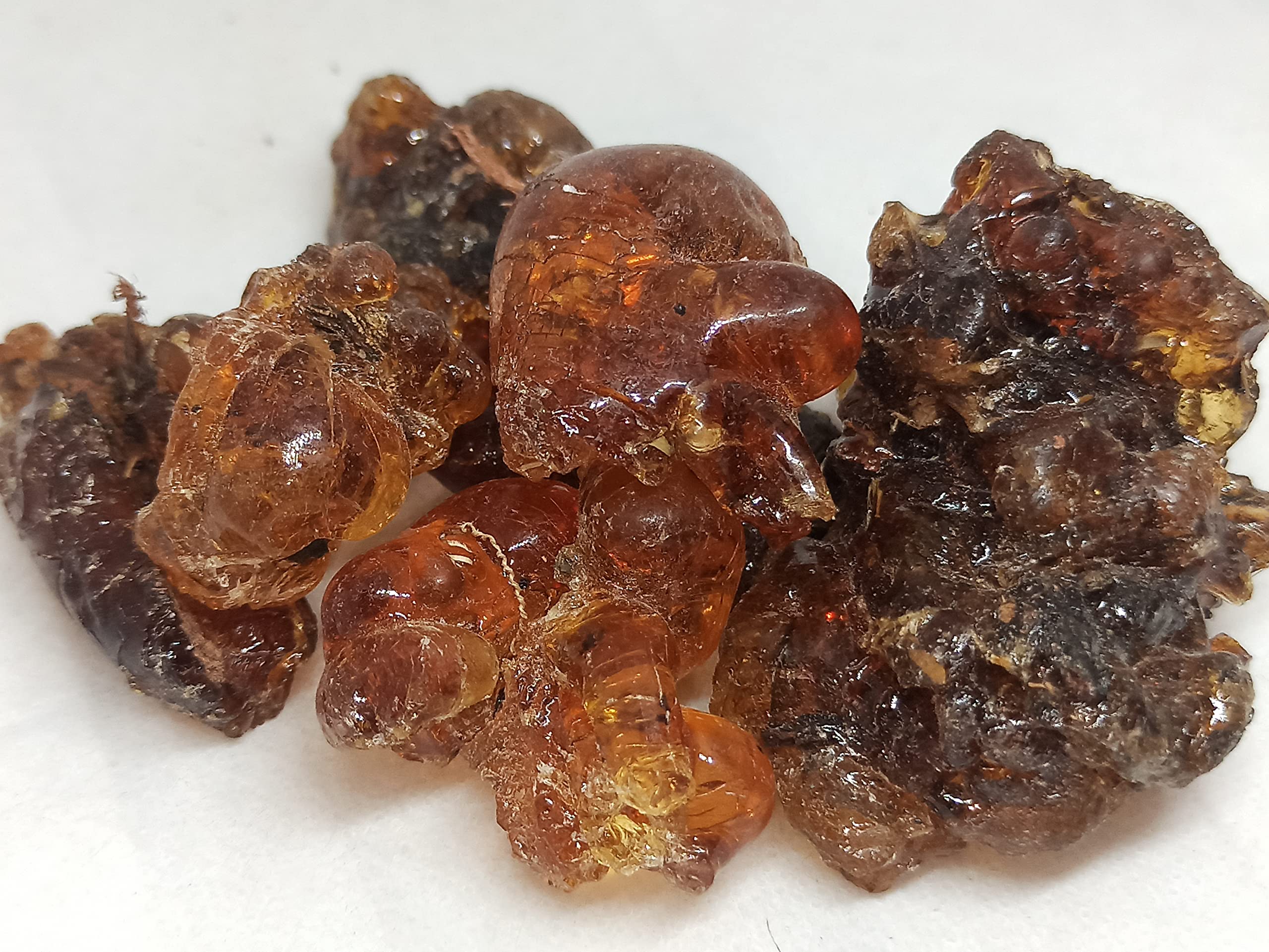 NATURALIFES-*KARUVELAM PISIN*- Prosopis Juliflora I கருவேலம் பிசின் / Karuvelam Pisin I Mesquite Tree Gum/Arabic gum I Babul, Kikar Karivelan, Karuvelum I Nallatumma, Tumma, Tuma (250 GRAMS) (B0BWJN6KWT) Amazon Price History, Amazon Price Tracker