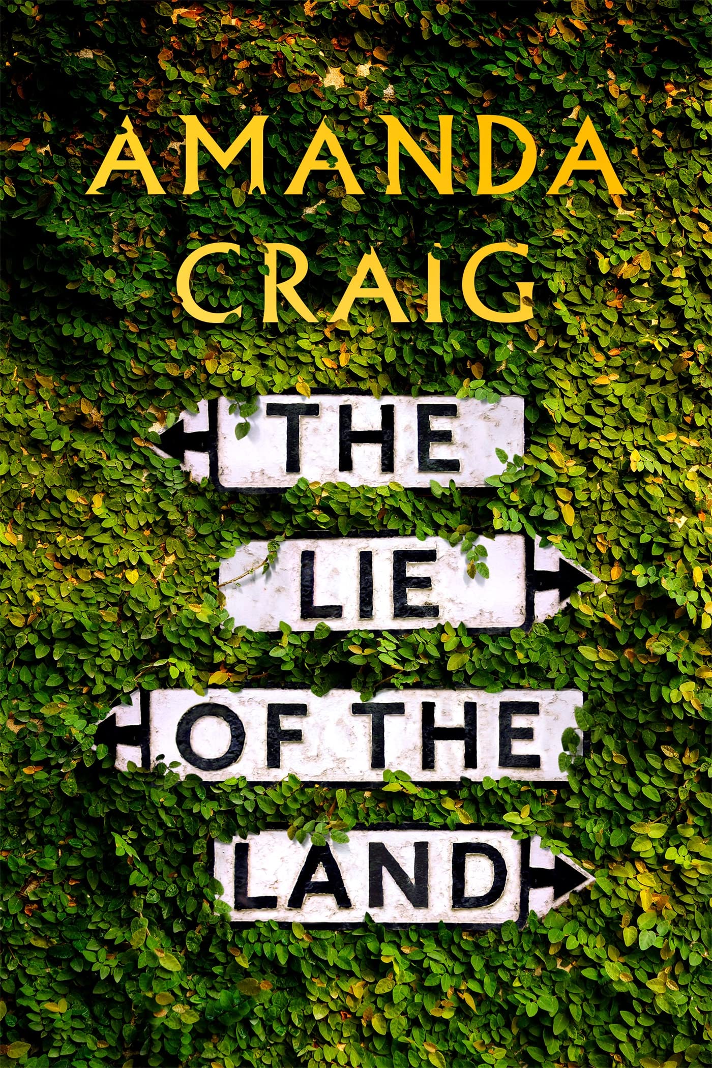 The Lie of the Land,Amanda Craig