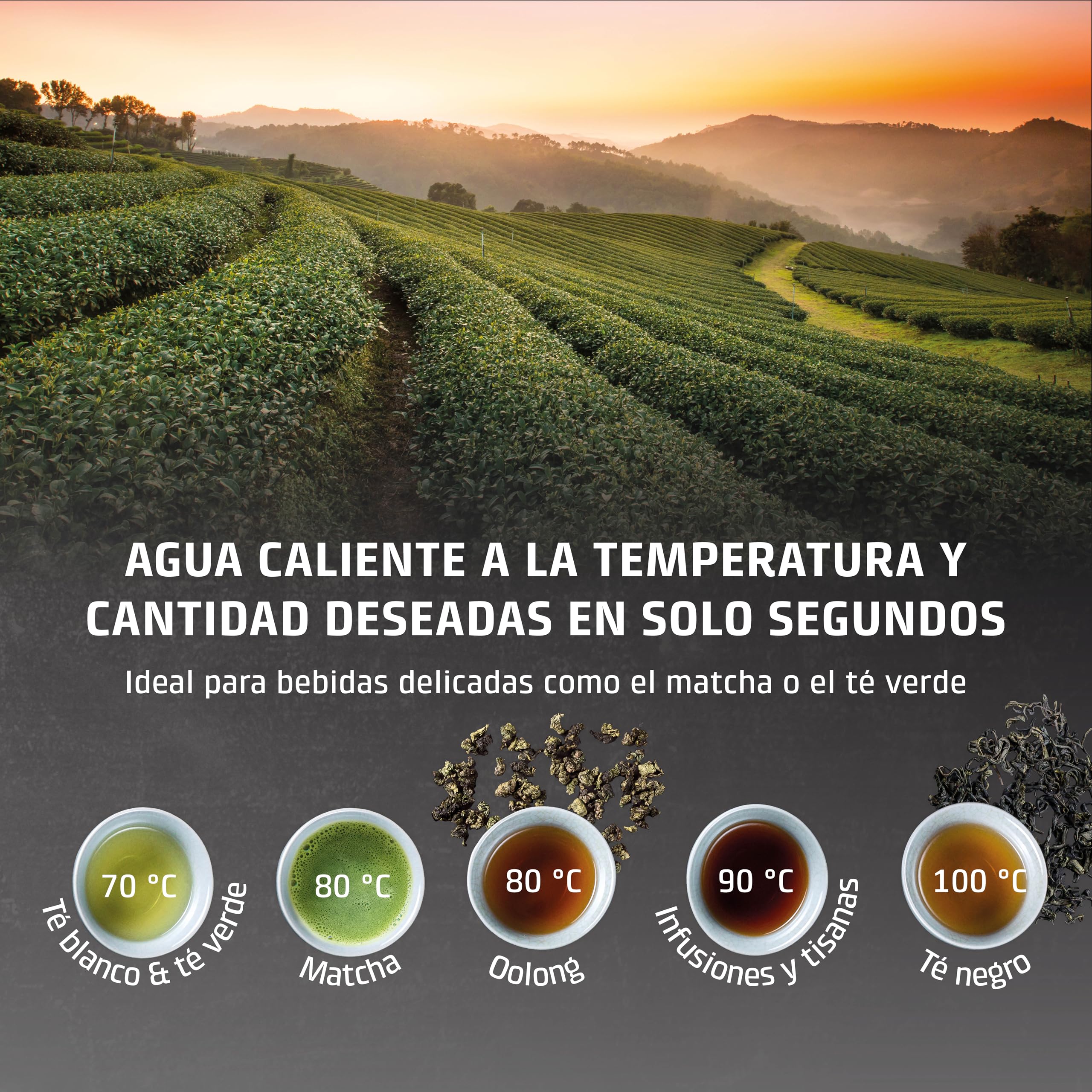 Caso HW 1660 - dispensador de Agua Caliente 4L - hervidor de Agua electrico - Agua Caliente en Segundos - Temperatura 40°C a 100°C - 7 cantidades de Salida - Filtro Antical y Anti Impurezas