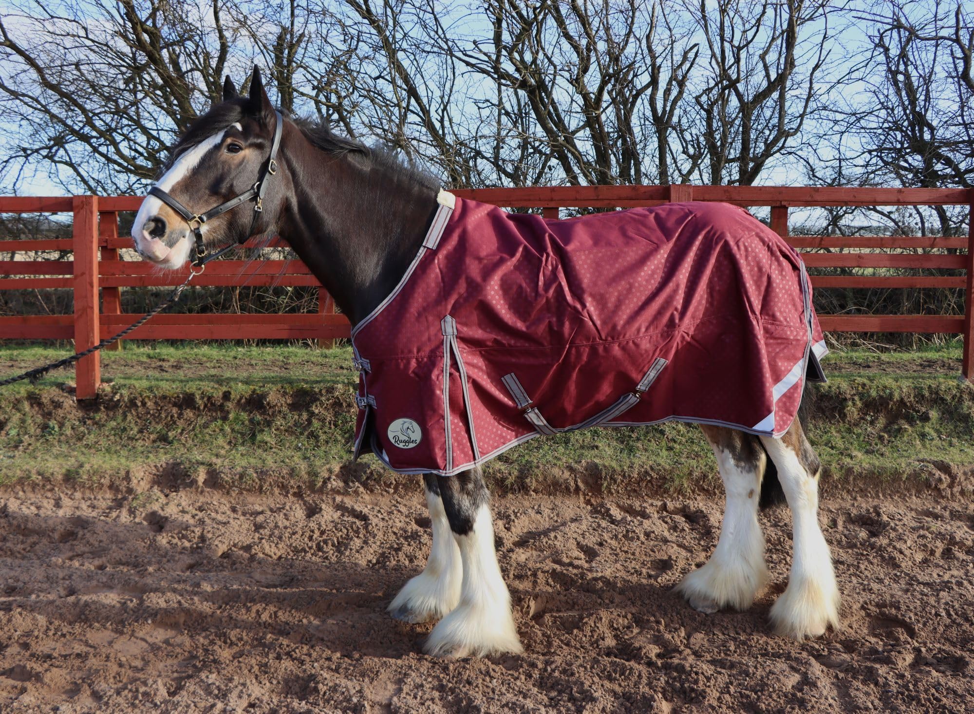 Ruggles Heavy Horse 100g Turnout Rug | 1200D Teflon Coated Waterproof/Breathable Outer | Specifically designed for Heavier Breeds | Excellent Protection in Wet Windy (Tawny Port, 6' 3")