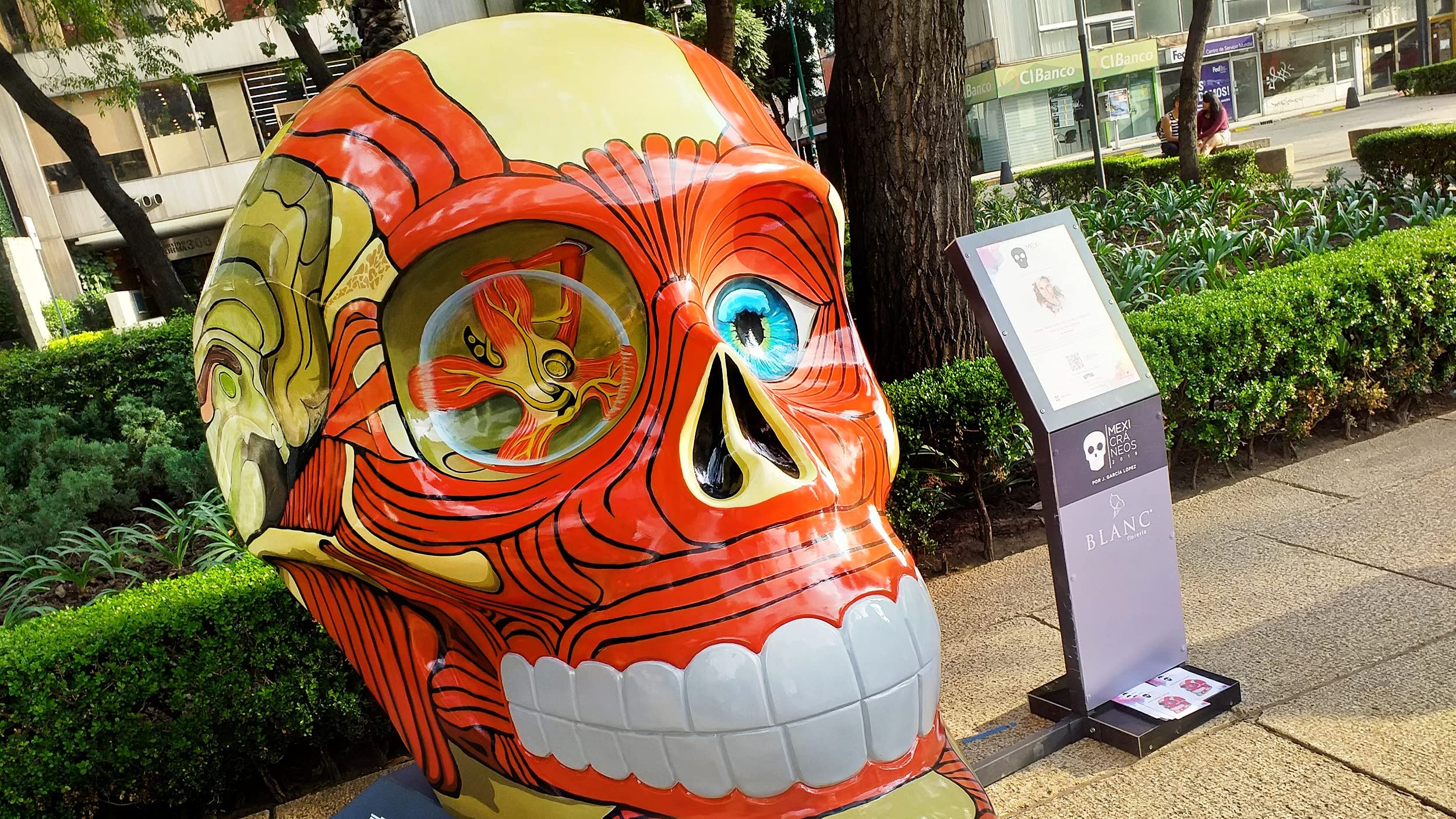 Buy Virtual tour of Zona Rosa, a boho neighborhood and famous LGBTQ