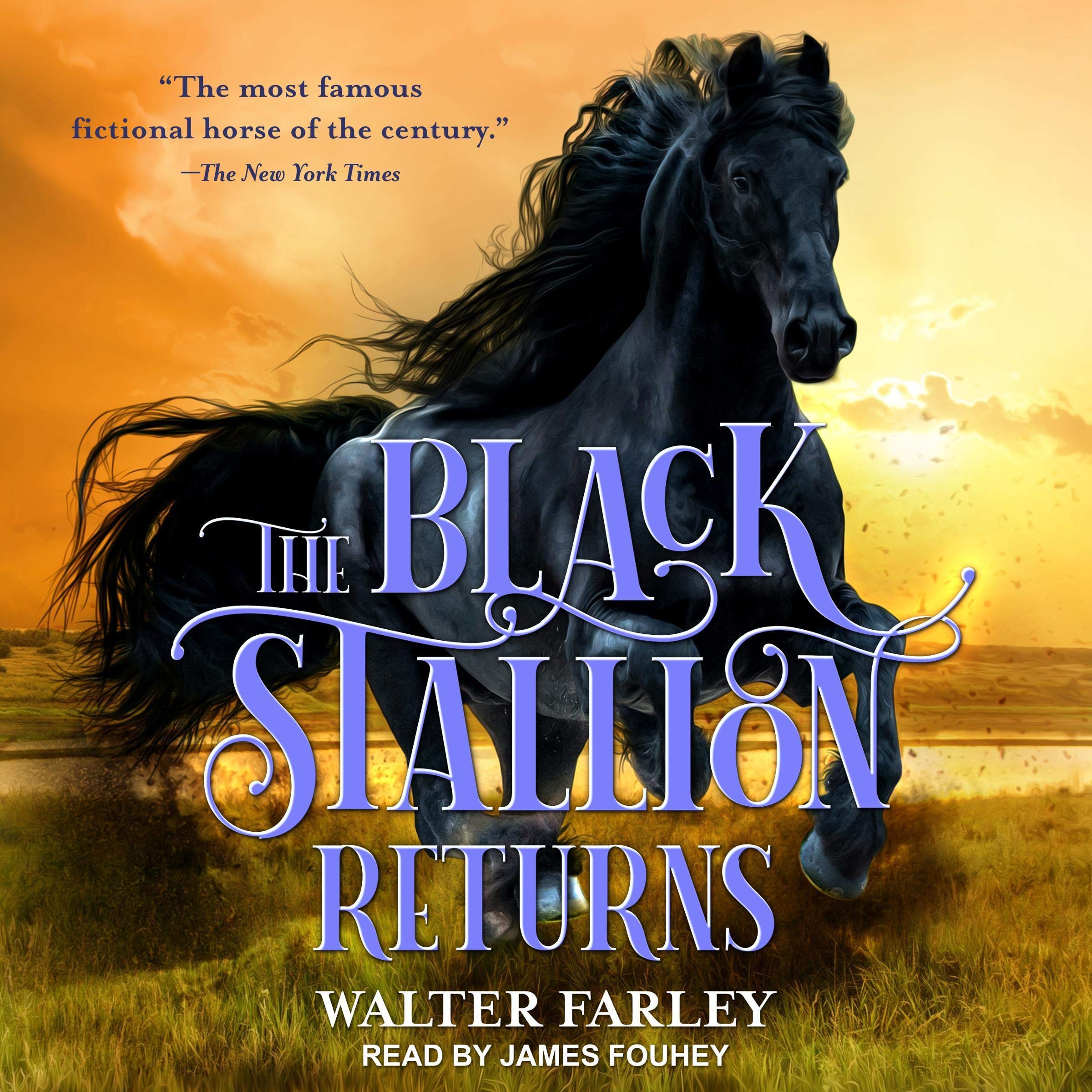 Cover art for The Black Stallion Returns