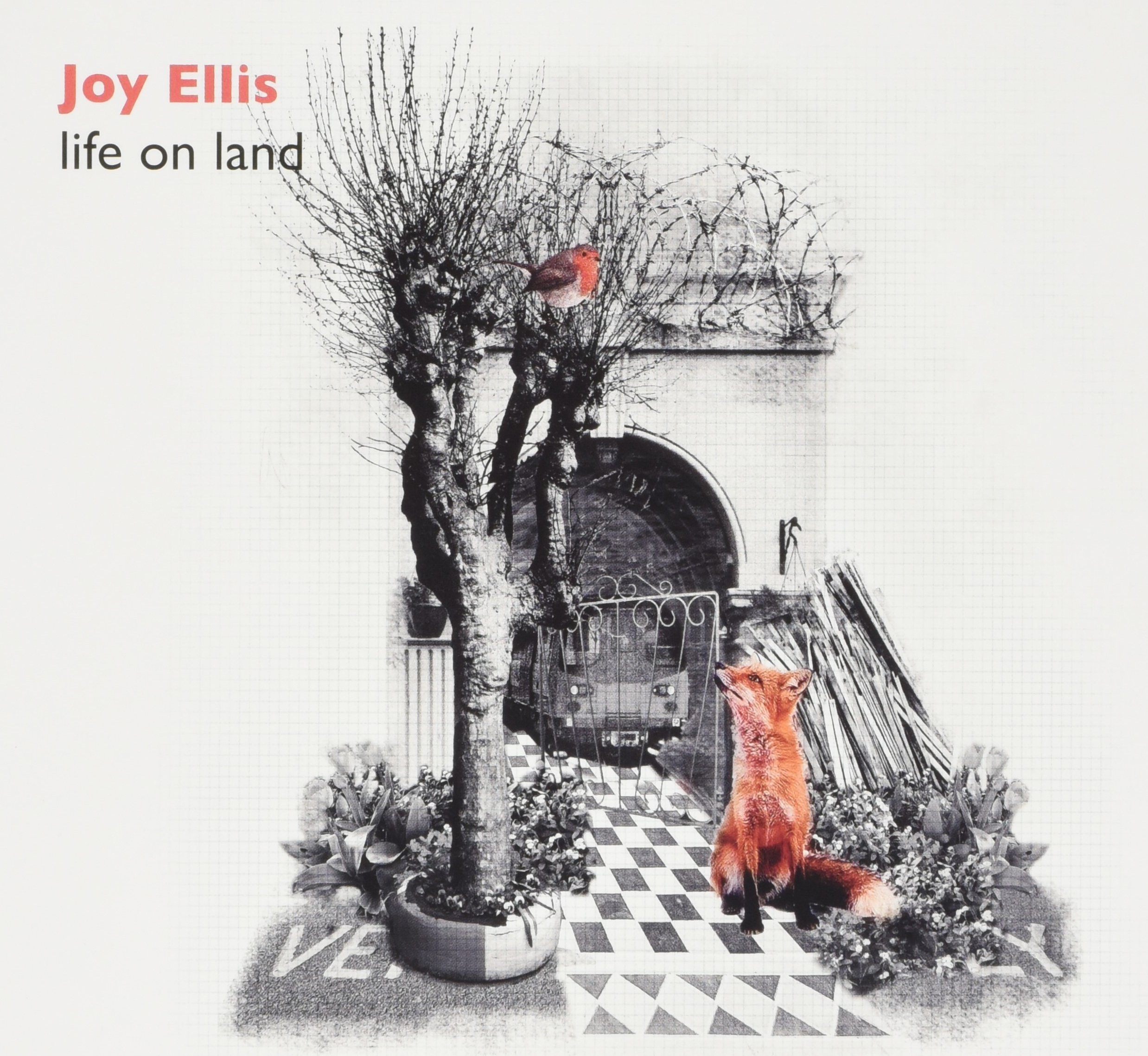 Life On Land