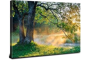 Vintage Green Mountain Sunrise Tree Picture Canvas Wall Art