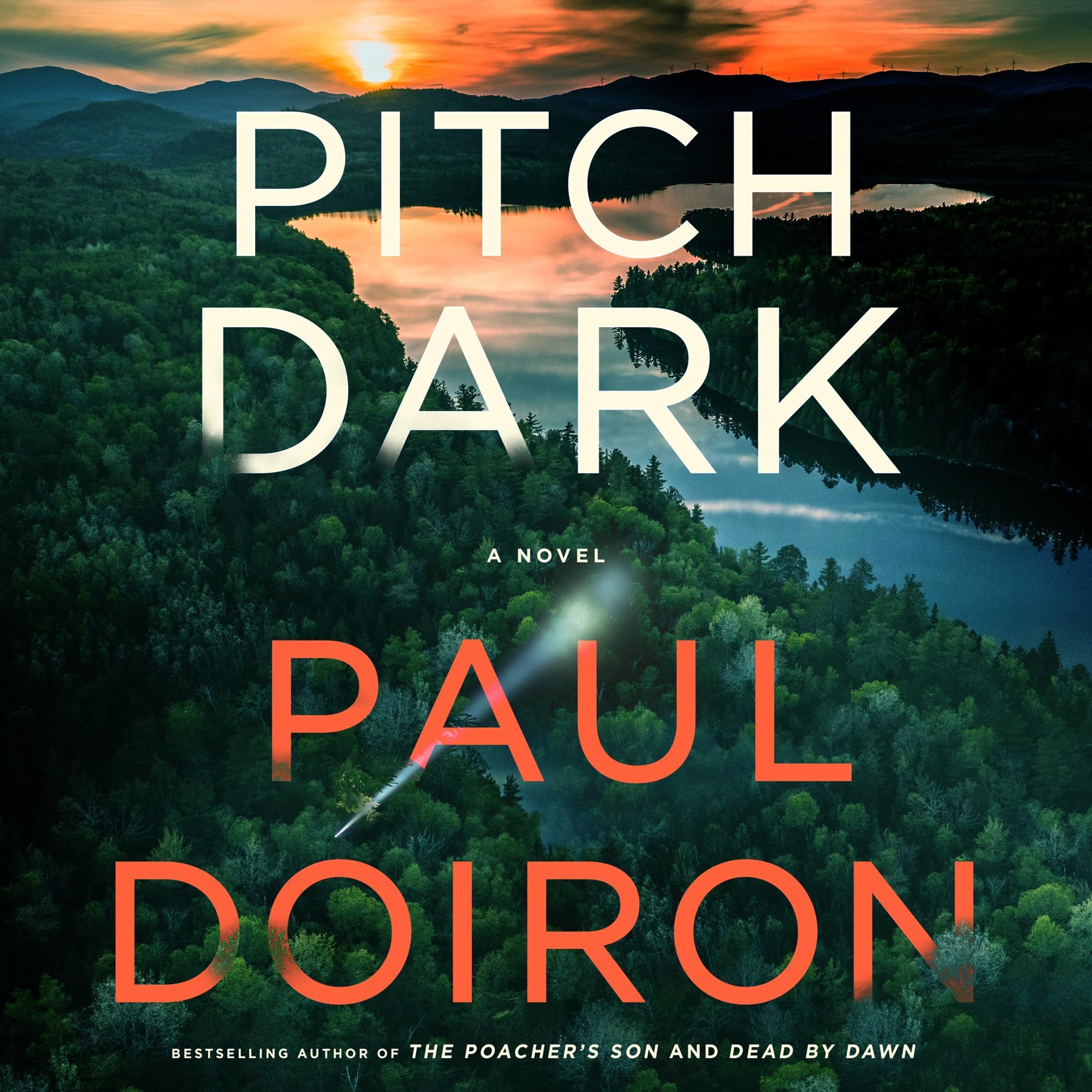 Cover art for Pitch Dark