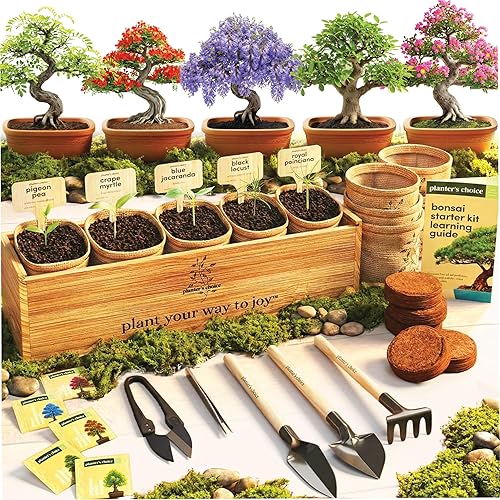 Planter's Choice Bonsai Tree Starter Kit - Birthday Gifts for