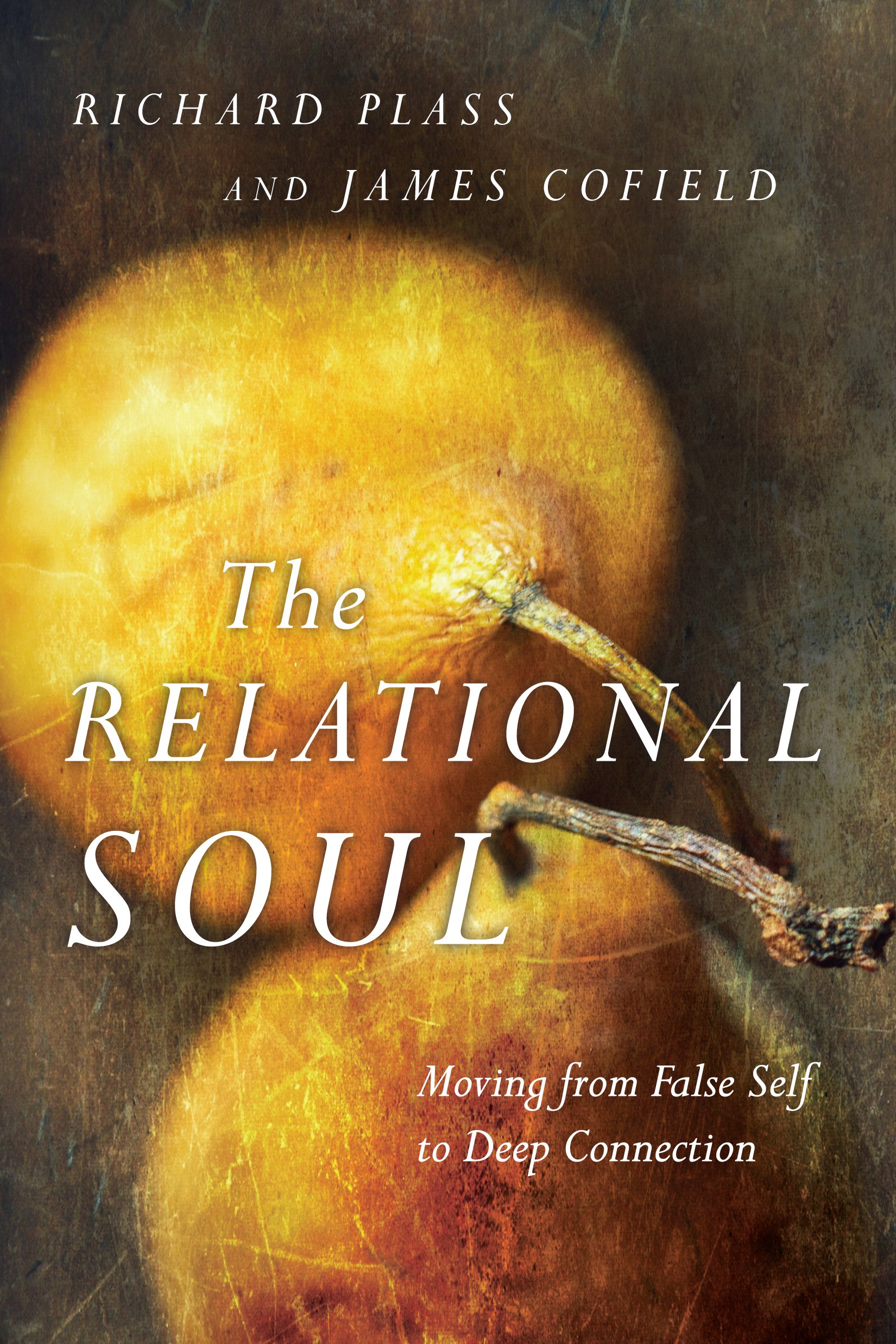 Buy Relational Soul - Moving from False Self to Deep Connection: The Bald Knobber Vigilantes in the Ozarks — BookShops.in