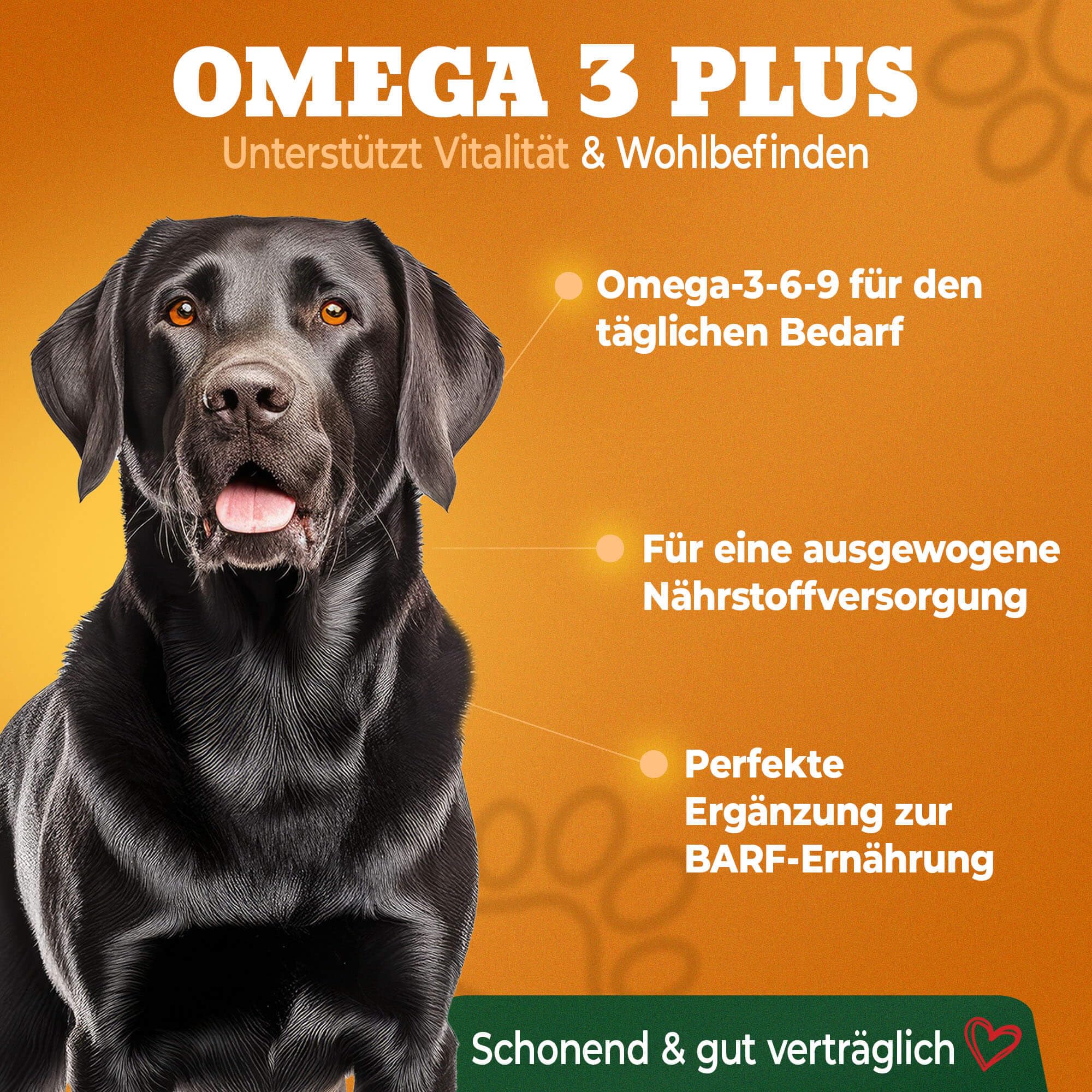 Premium Barf Öl Omega 3 6 9 Hund - 500ml Fischöl für Hunde - Lachsöl Hund - Fischöl flüssig mit Hanfsamenöl - Hochwertiges Barföl Futteröl für Hunde - 100% natürlich - Made in Germany